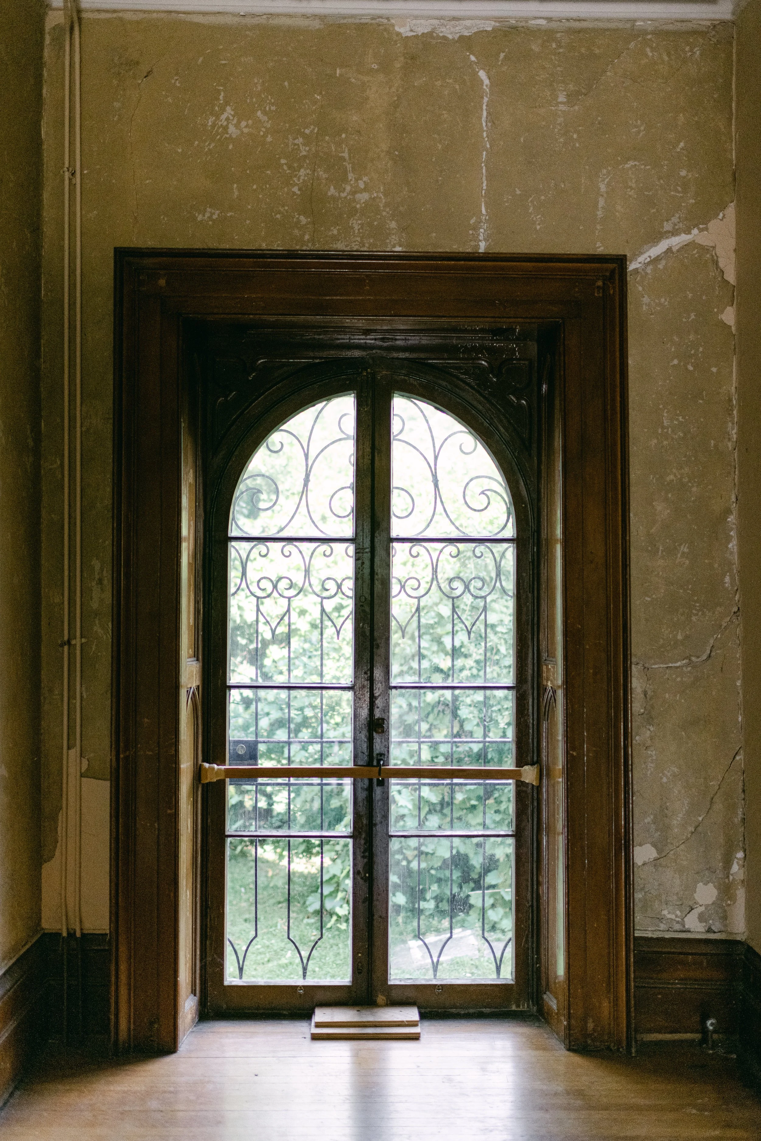 DSC_1530.jpg