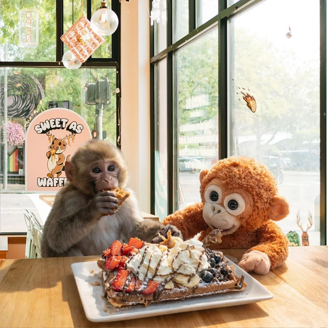 Fuggin&rsquo; cRaZY that this little guy showed up out of nowhere🙈