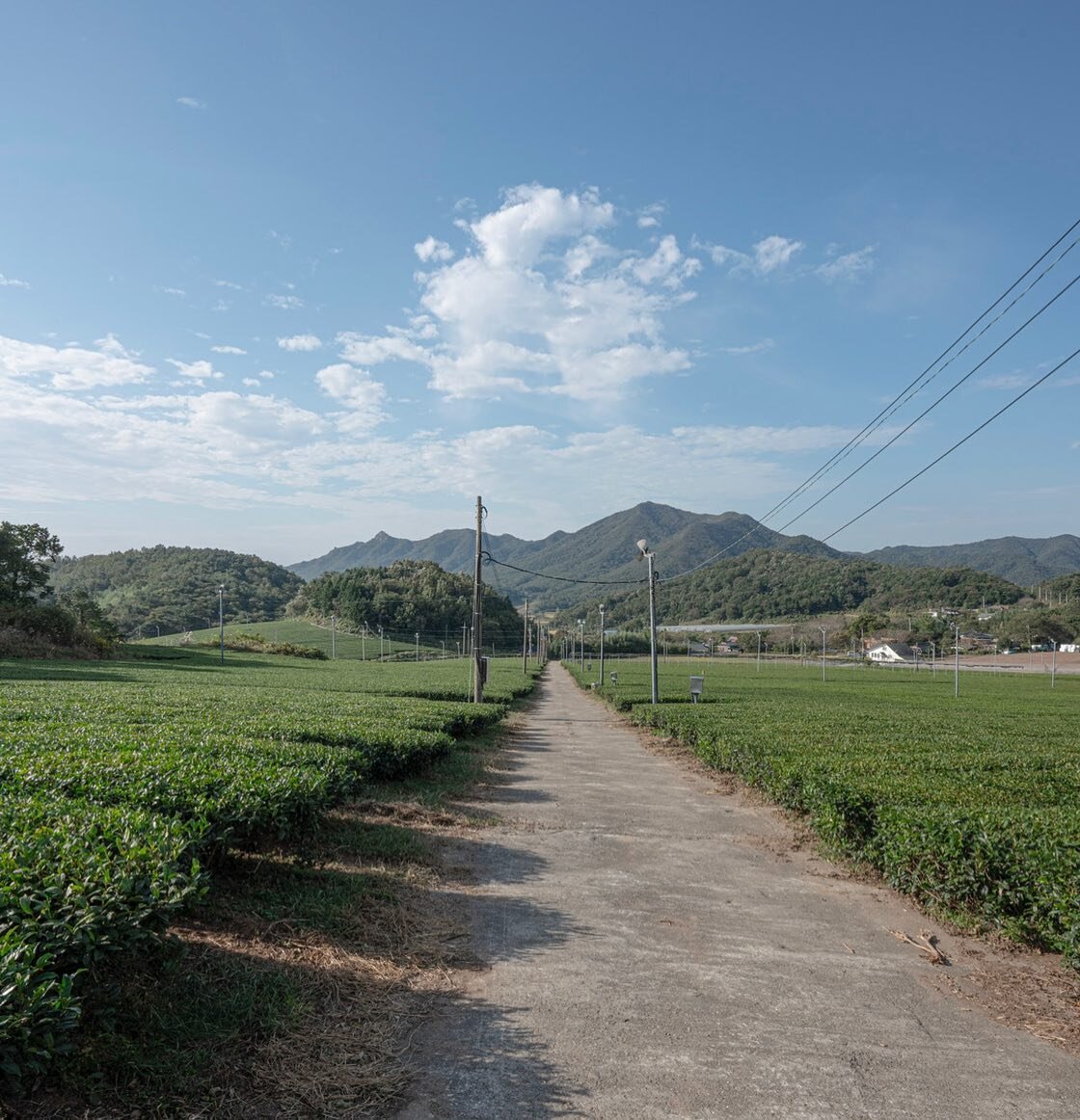 The world is full of endless adventures and possibilities! 🏔 Do you have any upcoming travel plans? ✈️ 

#qialchemy #herbalism #koreanherb #herbaltea #herbalmedicine #herbalists #naturalmedicines #healthytips #healthyrecipes #wellnesslife #morningri