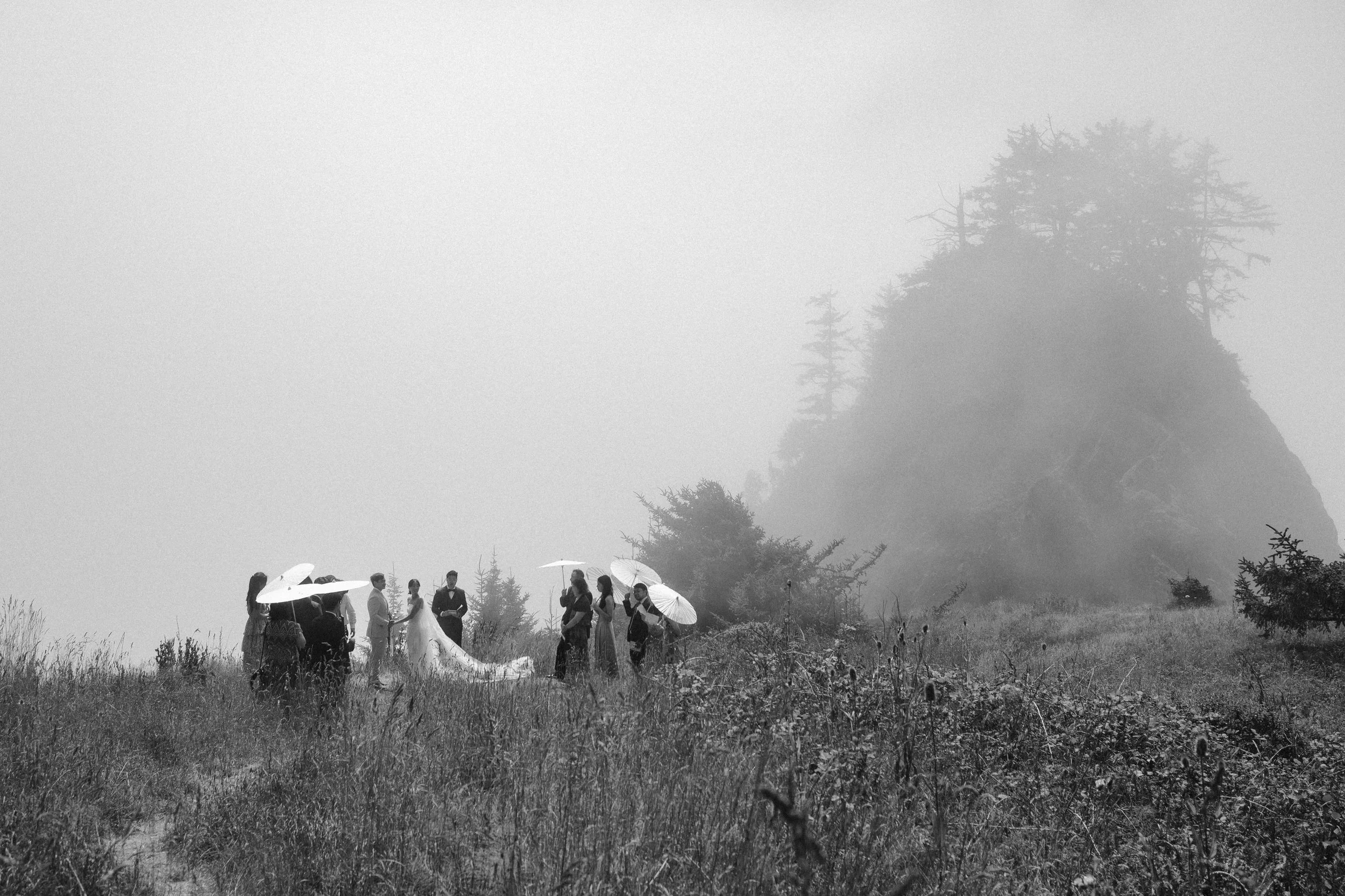 Intimate elopement ceremony on the Coast with guests standing in foggy coastal landscape.