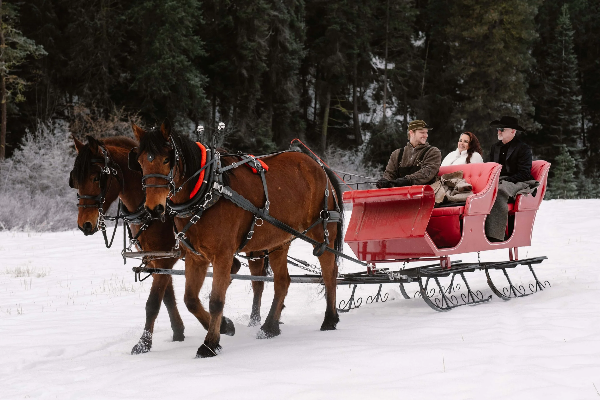 Couple on sleigh ride after elopement in the cascade mountains of washington state