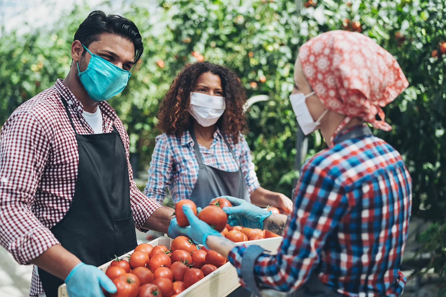 Collaborative agricultural staffing solutions for greenhouses and farms