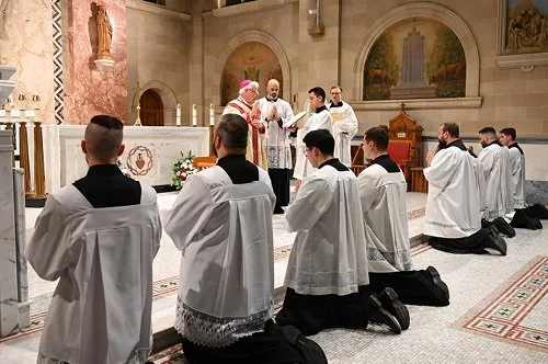 Installation of Lectors