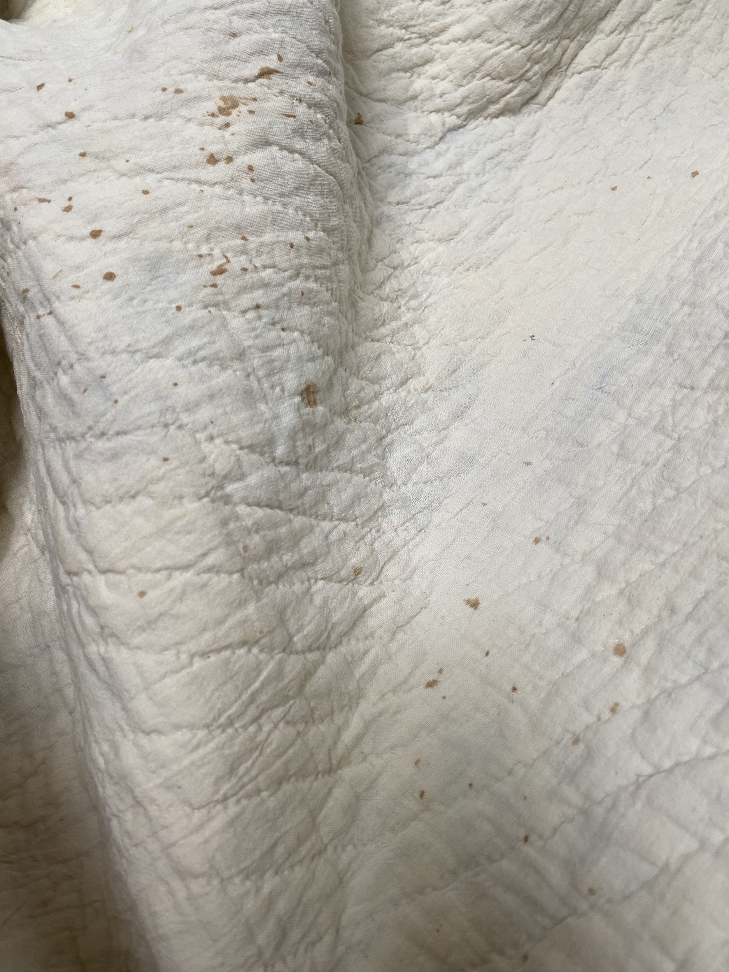 7E777DDC-47EA-4D88-9103-A39D06D59DFF.jpeg