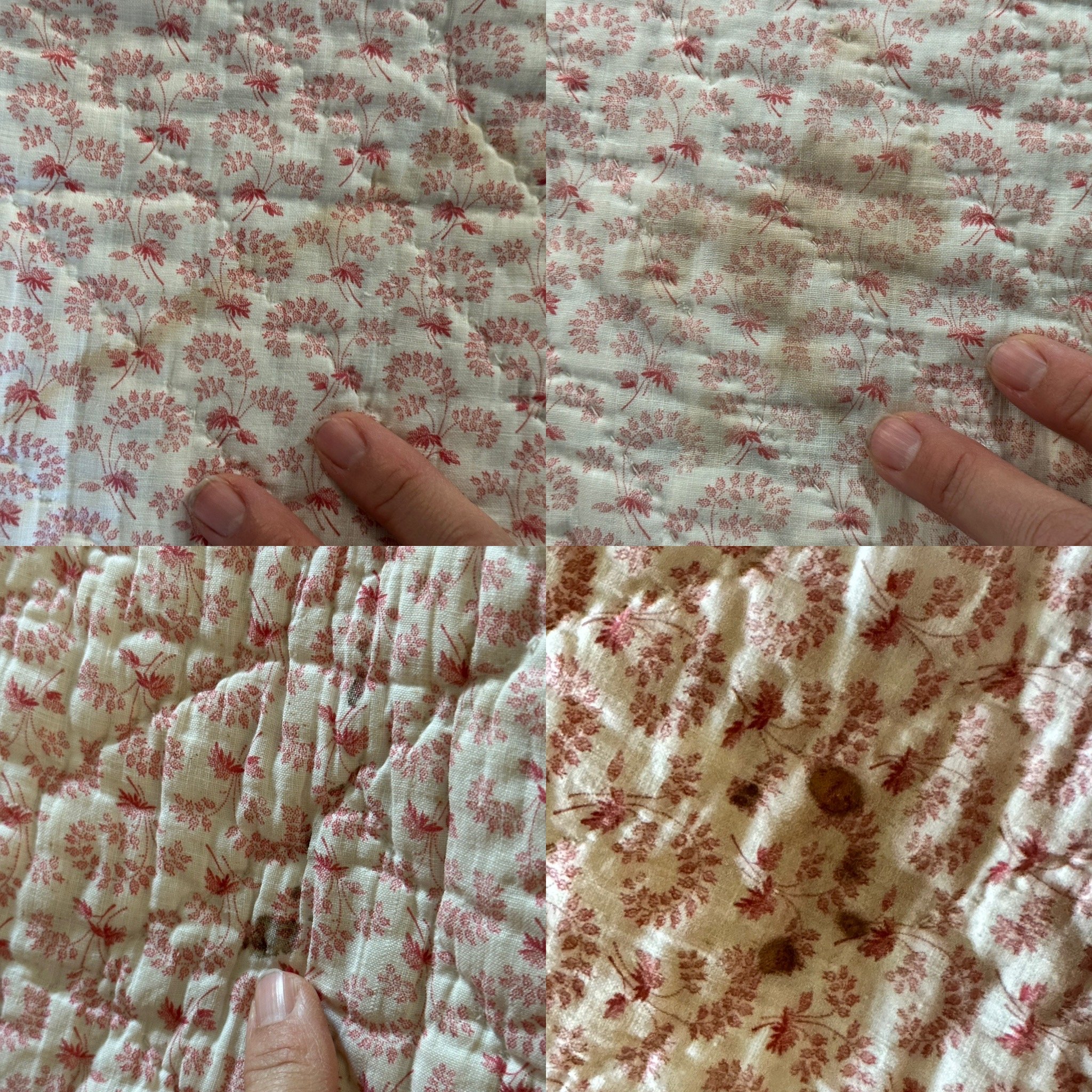 7EE1FF56-3D33-4897-B5DA-3C48E1373BB1.jpeg