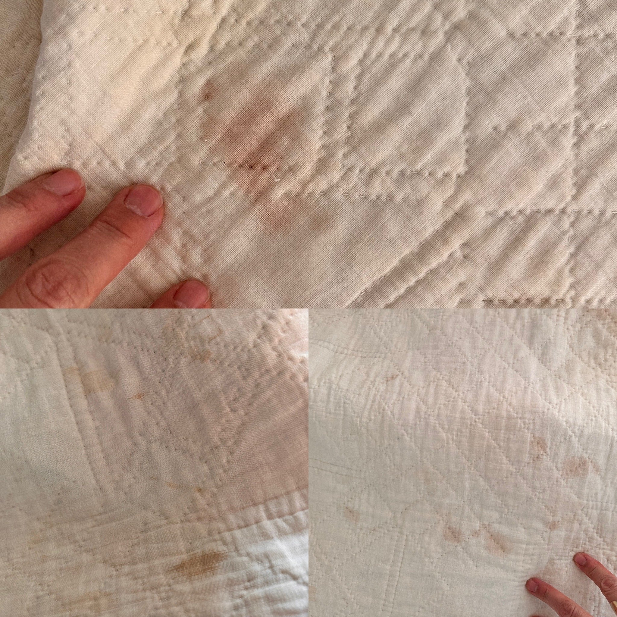 08969002-7C8B-4E74-ACDE-78435CE7B819.jpeg