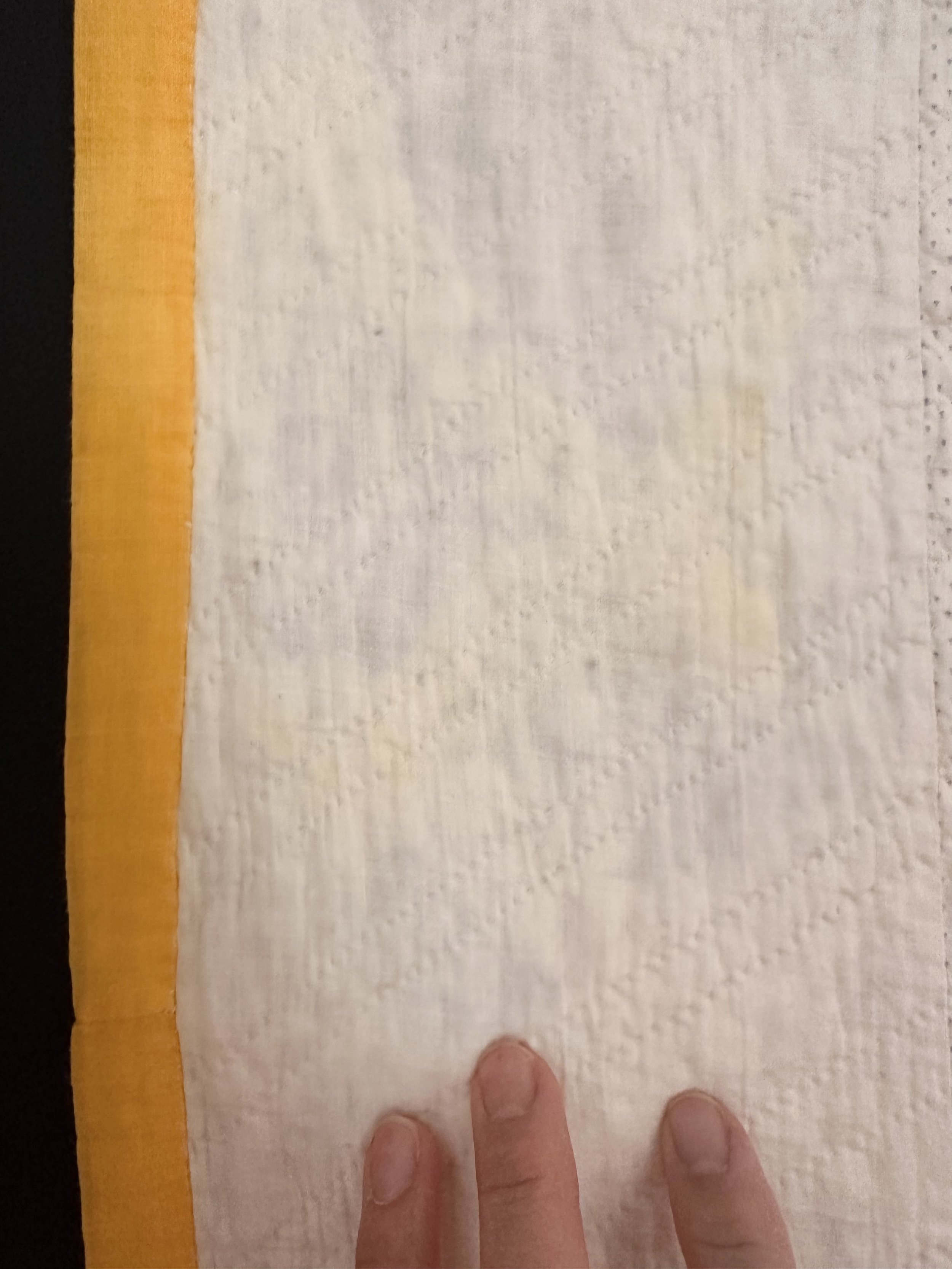 2027BCAE-9AE6-4A0C-A85C-5EE31B7454AD.jpeg