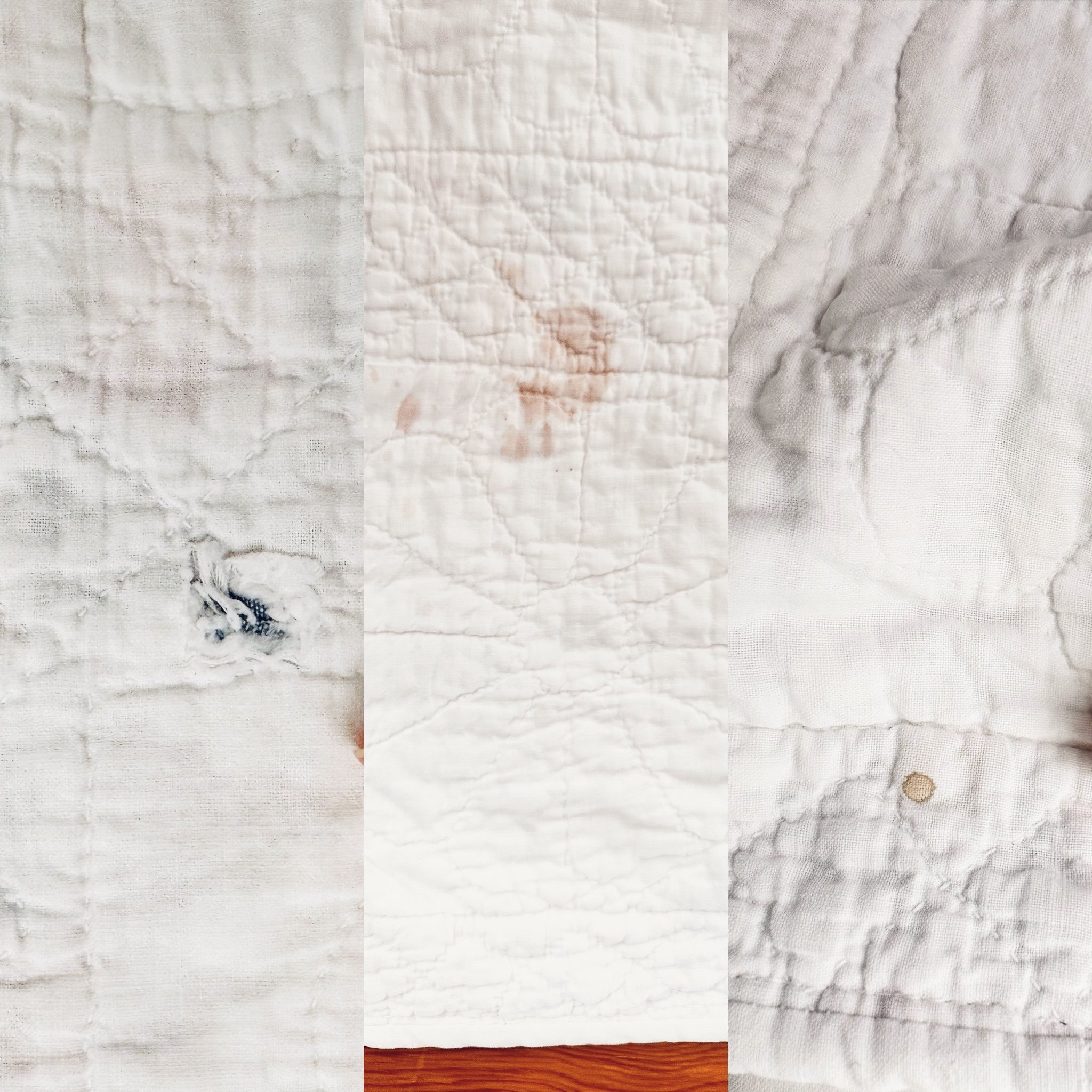 BA45051B-A80F-43DD-B373-027E5F325139.jpeg