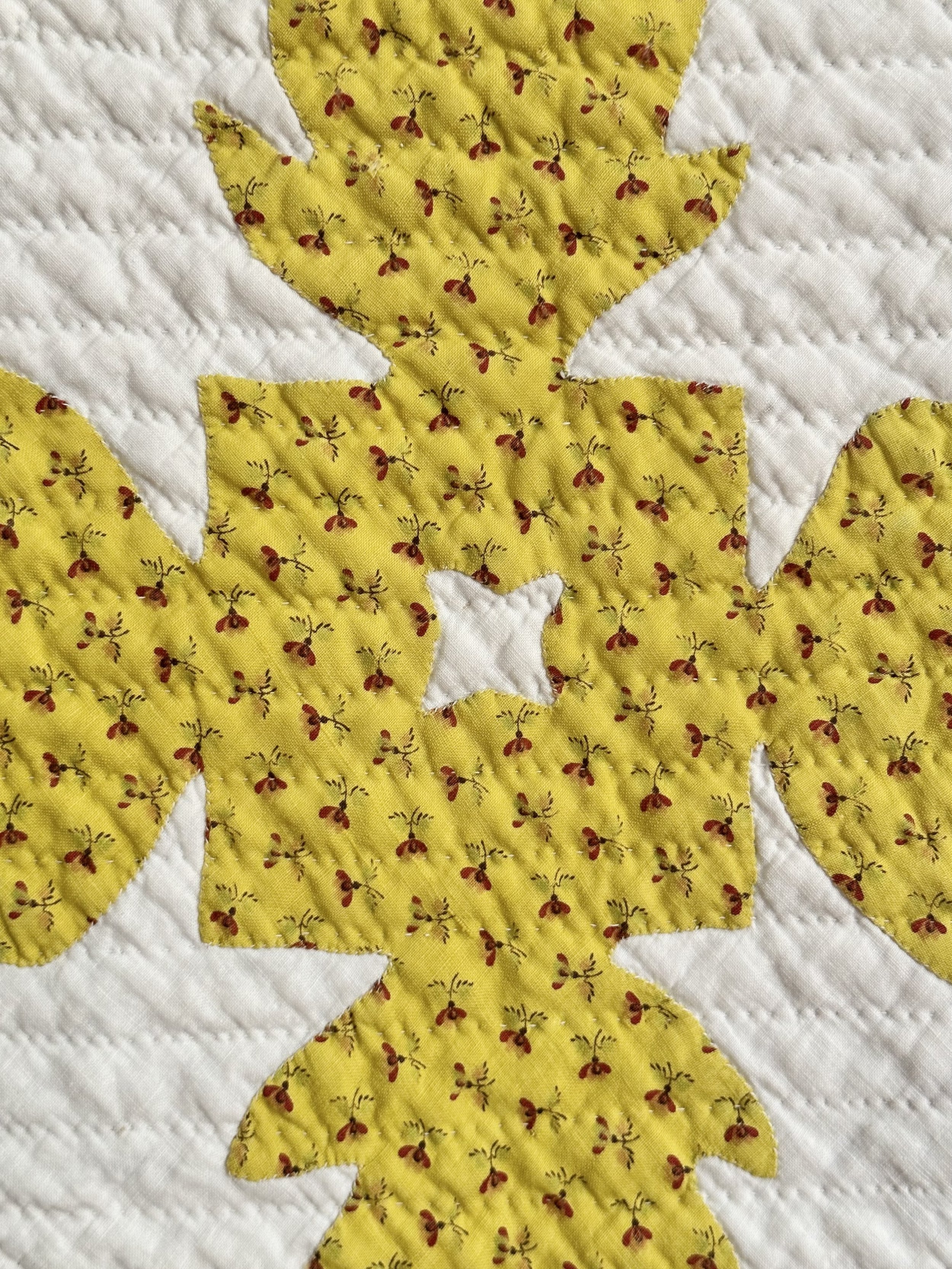 2C1EEC1A-40DE-493E-94E4-26932129A77B.jpeg