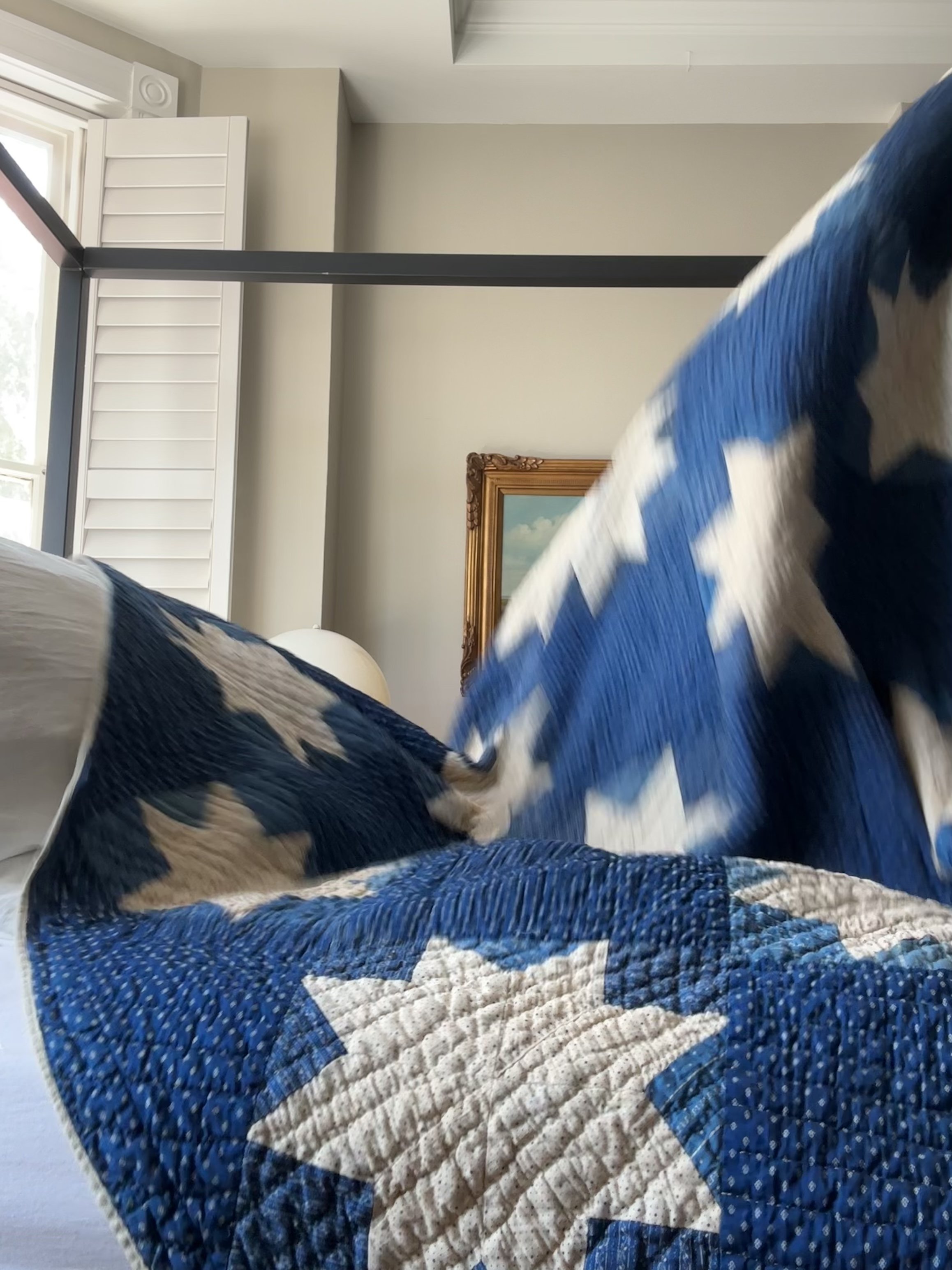 006F8076-0503-4C43-AD90-EFC2B7E02270.jpeg