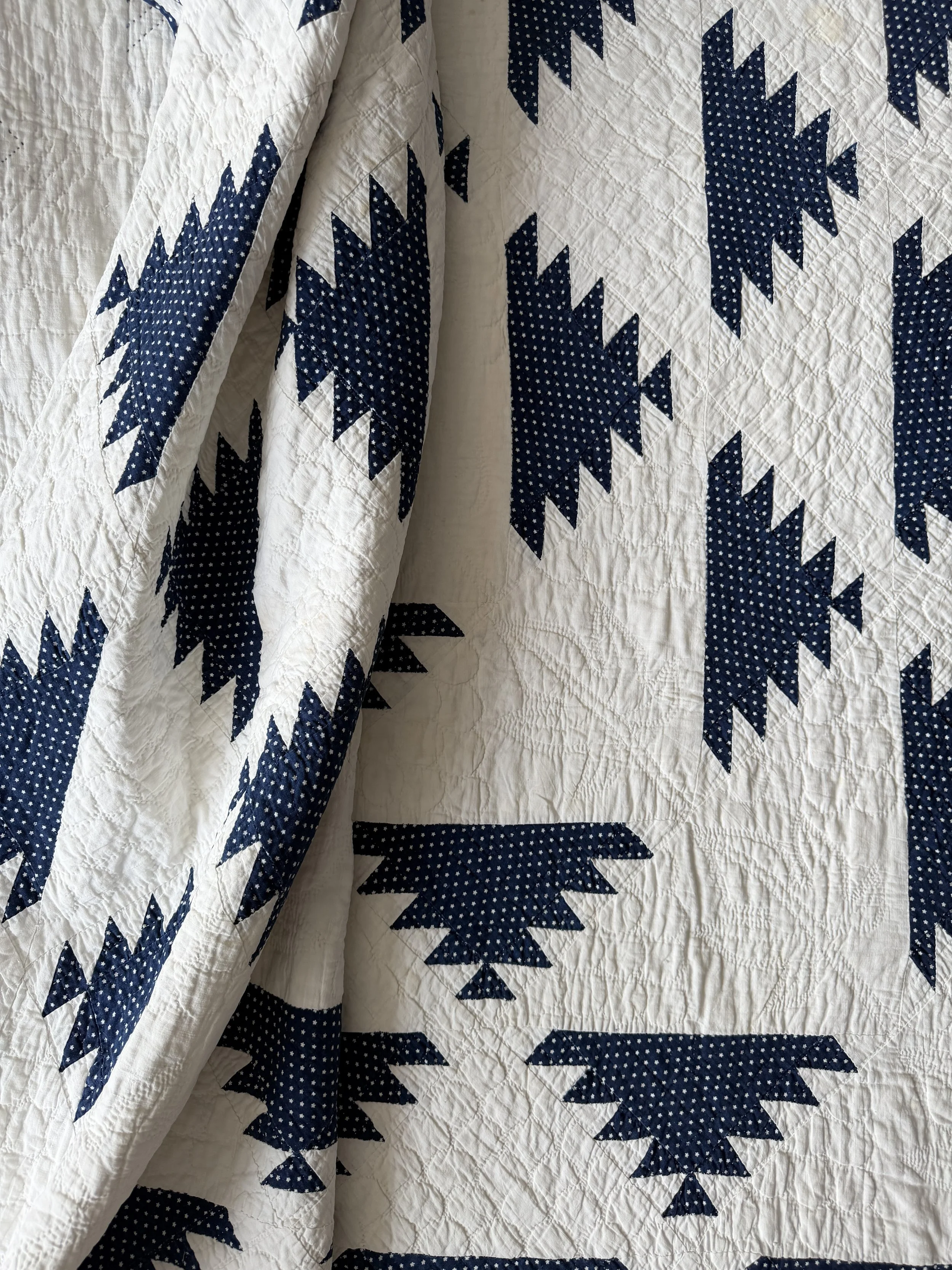 IMG_2678.jpeg