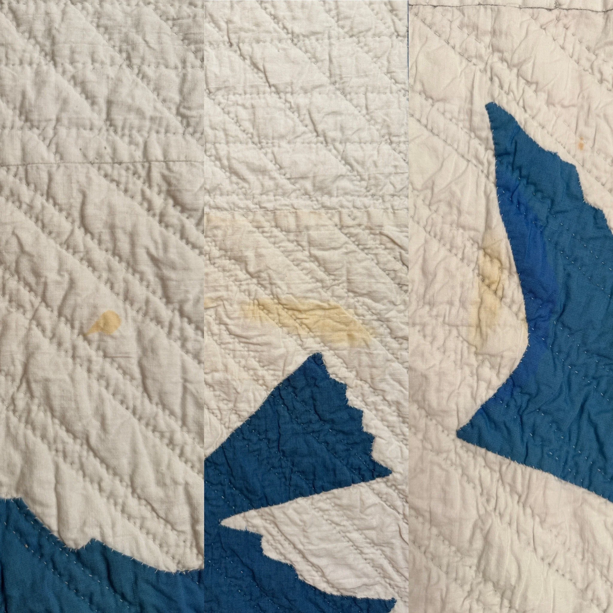 2BE8E79F-20F7-4367-B176-A2727AF71089.jpeg