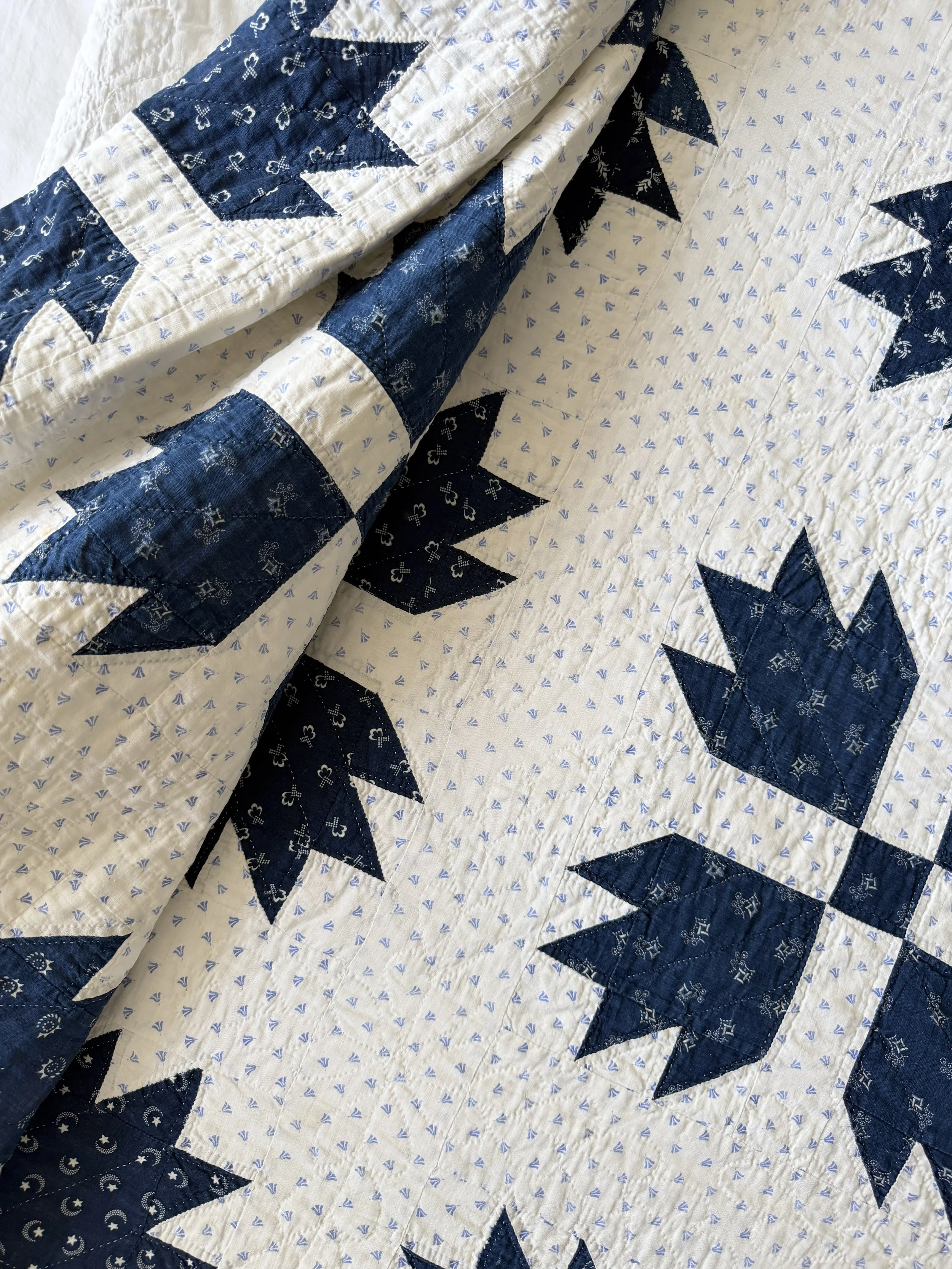 Blue Duck's Foot in the Mud Quilt