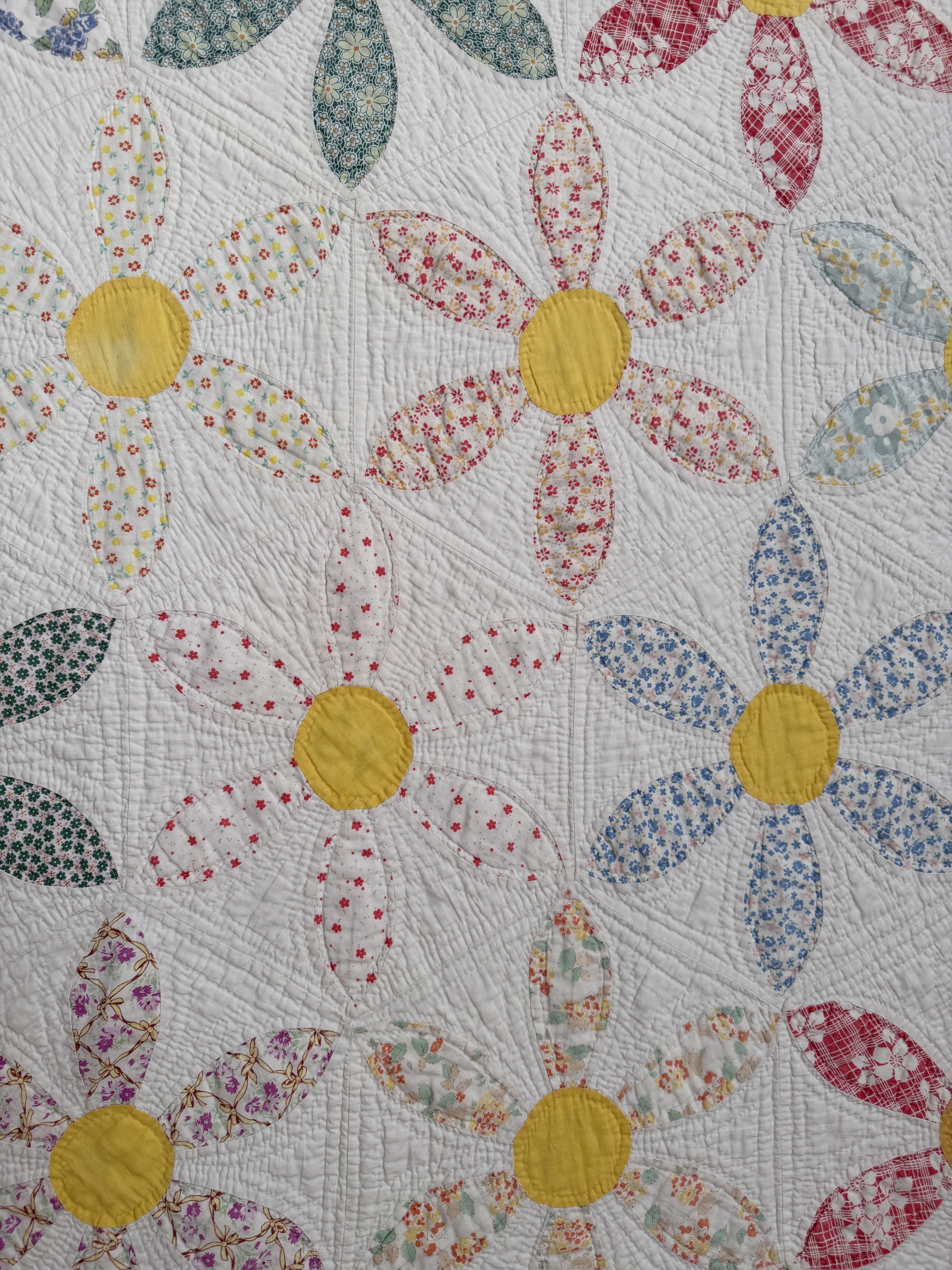 IMG_6507.jpeg