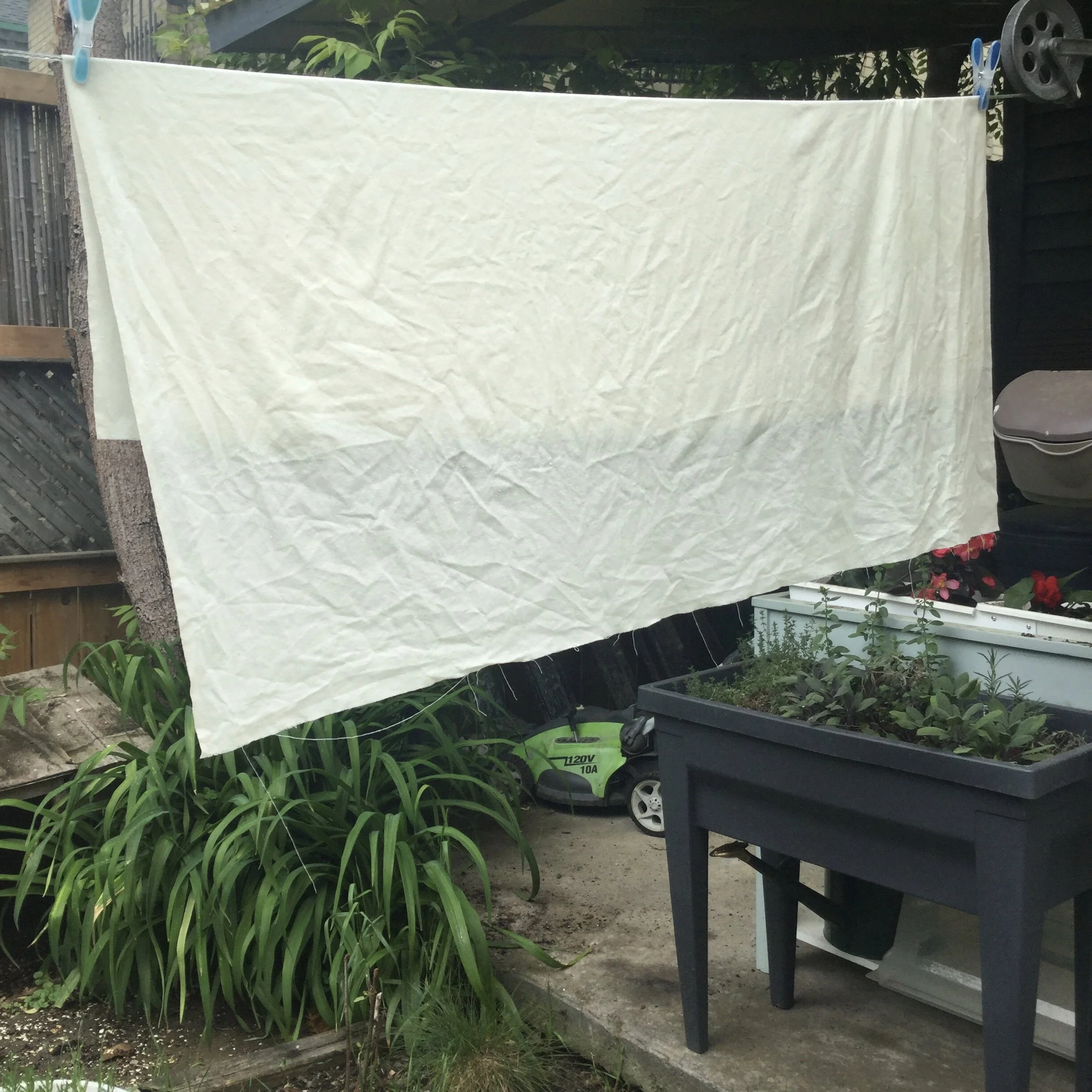 Drying the mordanted silk.