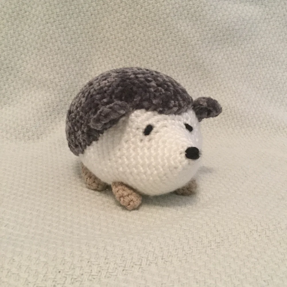 Nelson the hedgehog.