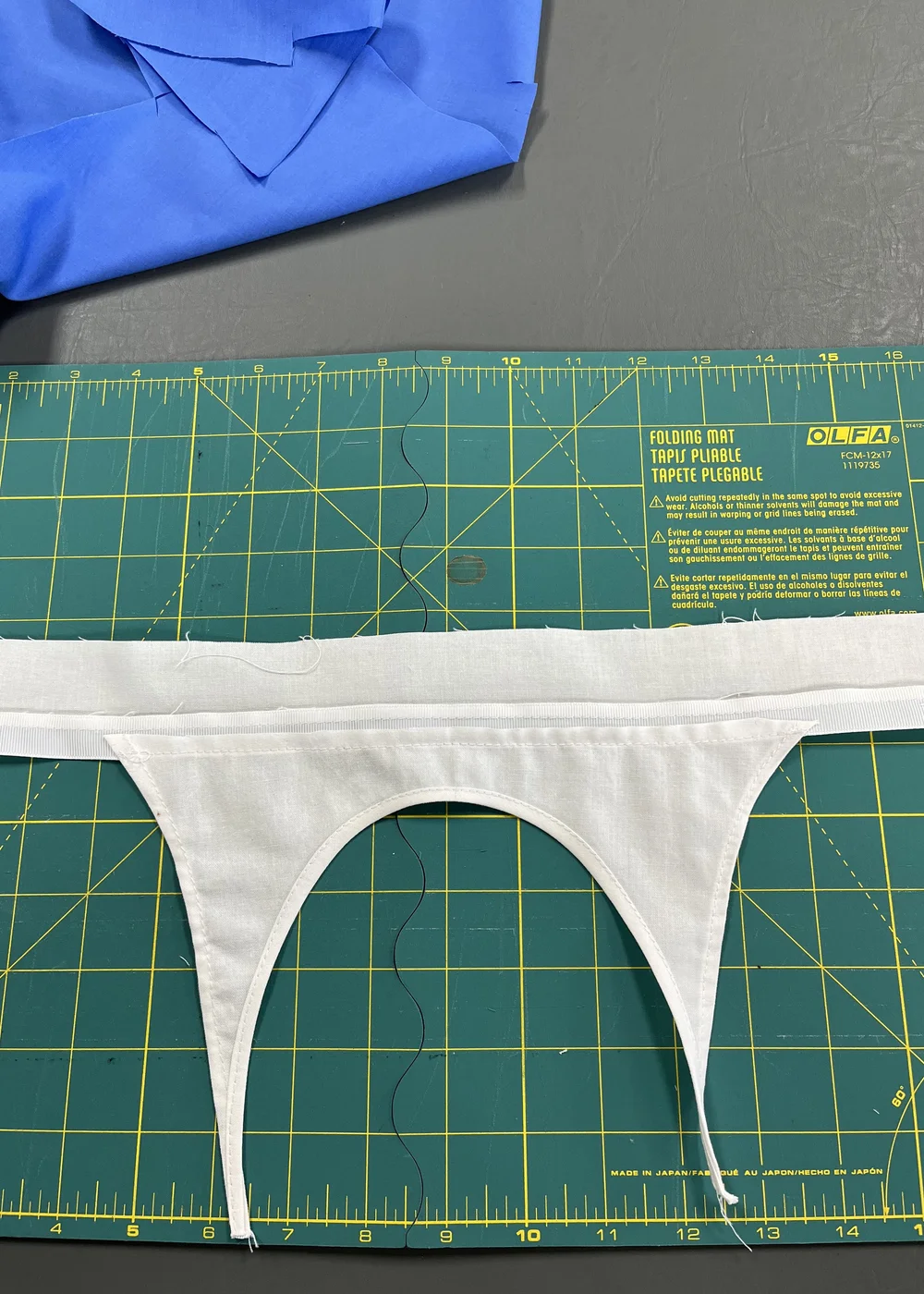 fullsizeoutput_11c3.jpeg