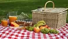 CBS & JF Picnic -- RSVP's are appreciated
