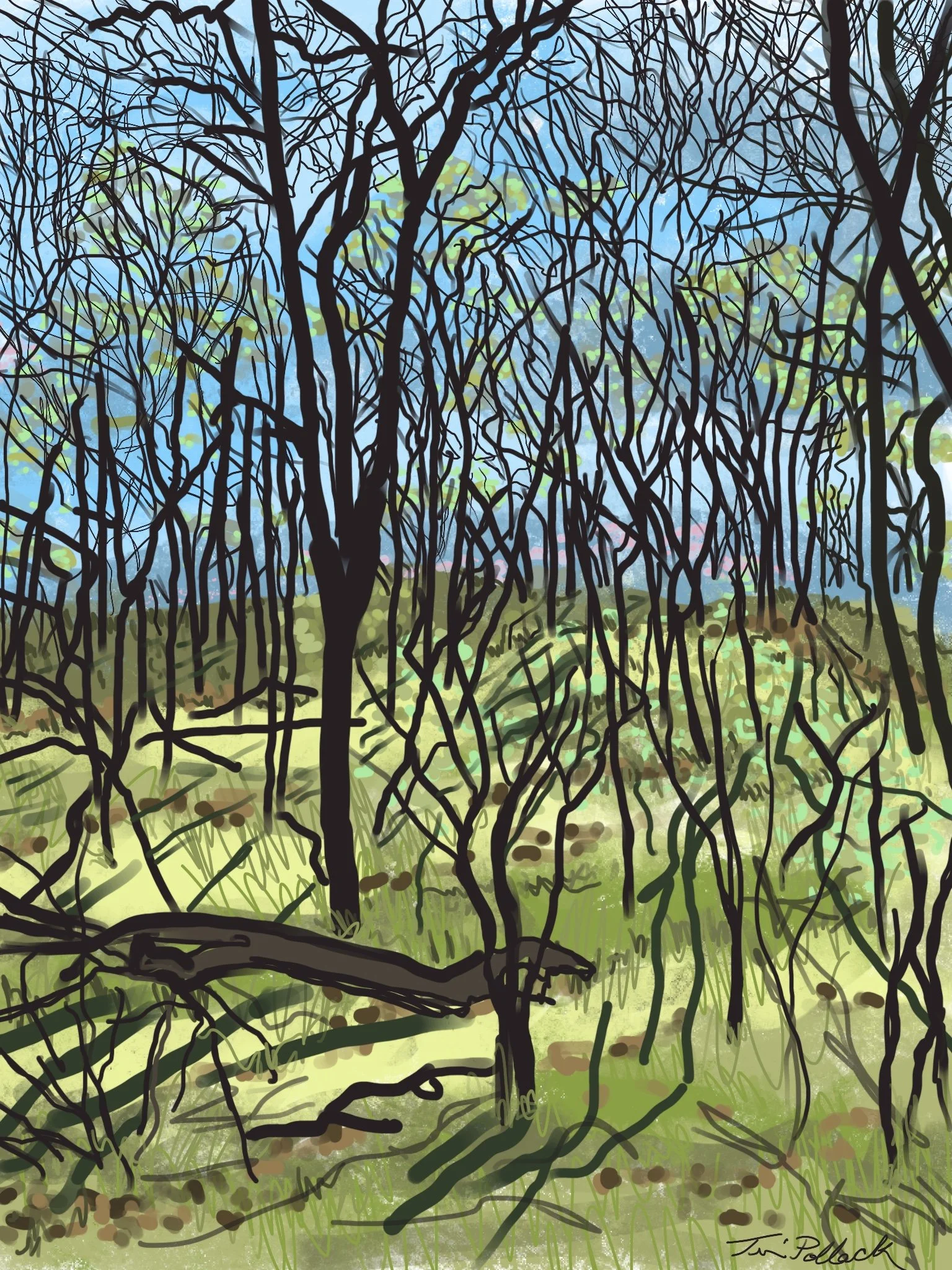 Digital painting hills in the spring