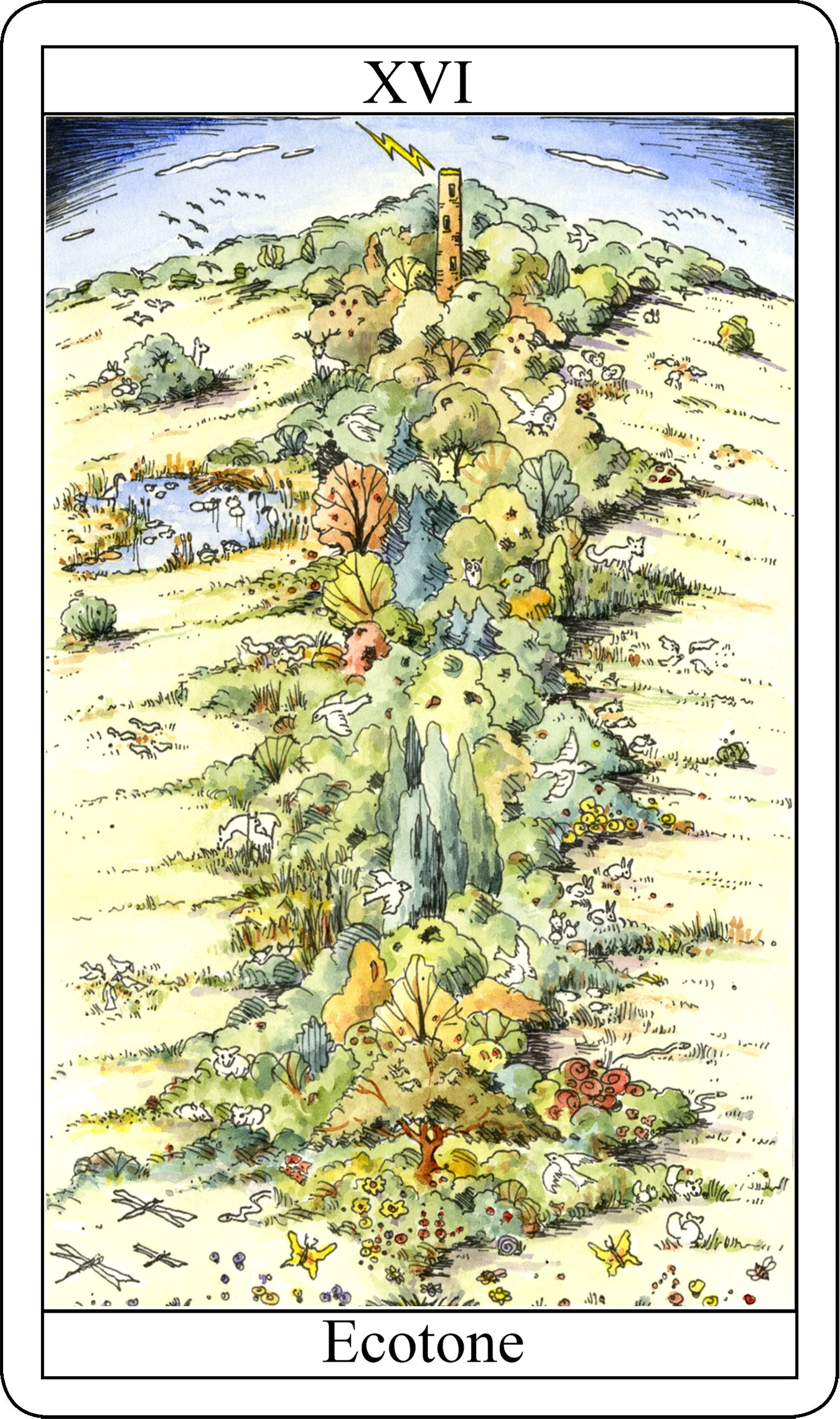 Ecotone