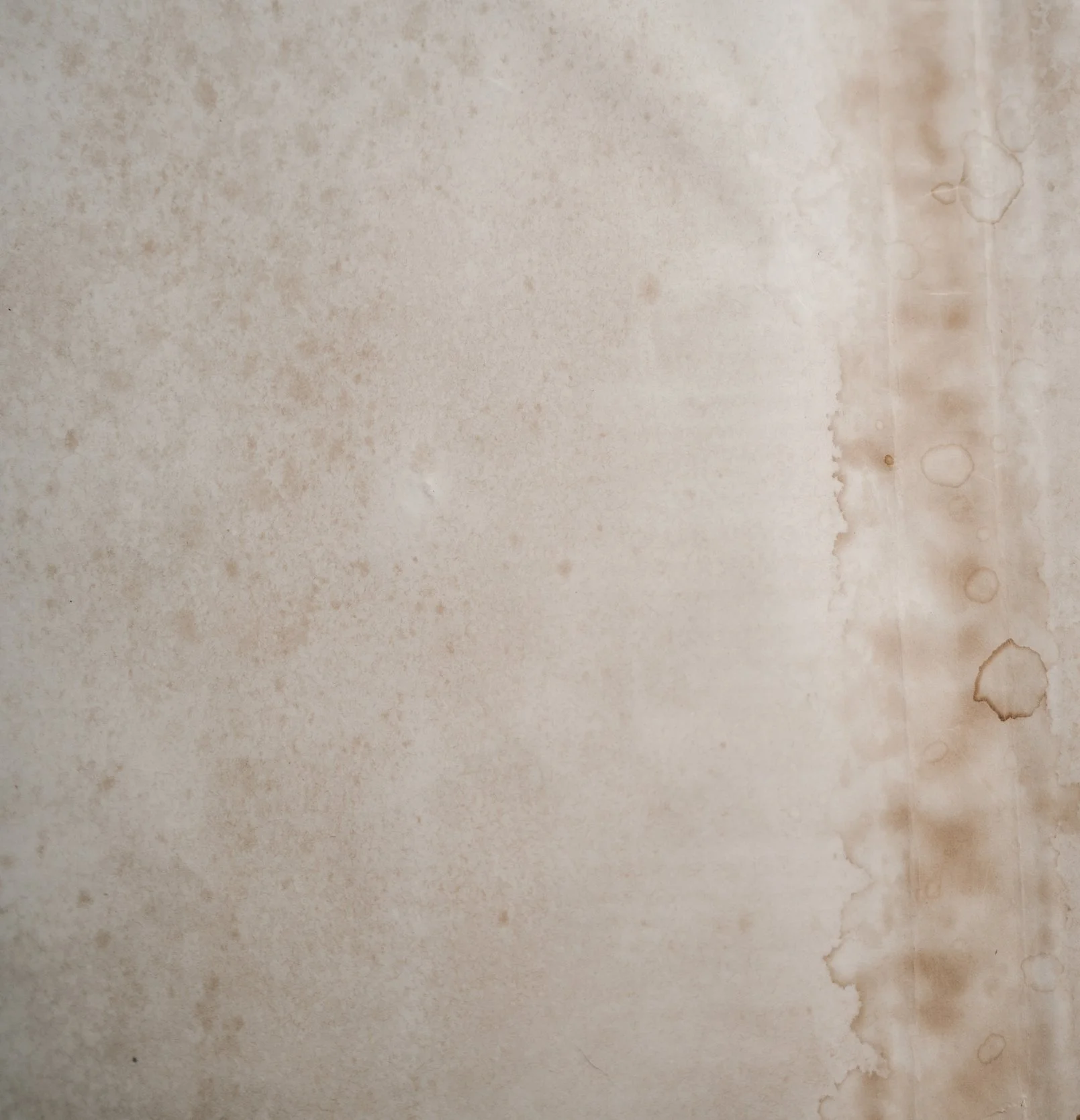 Victorian WeatherResistant Oilskin Cloak — V. Birchwood