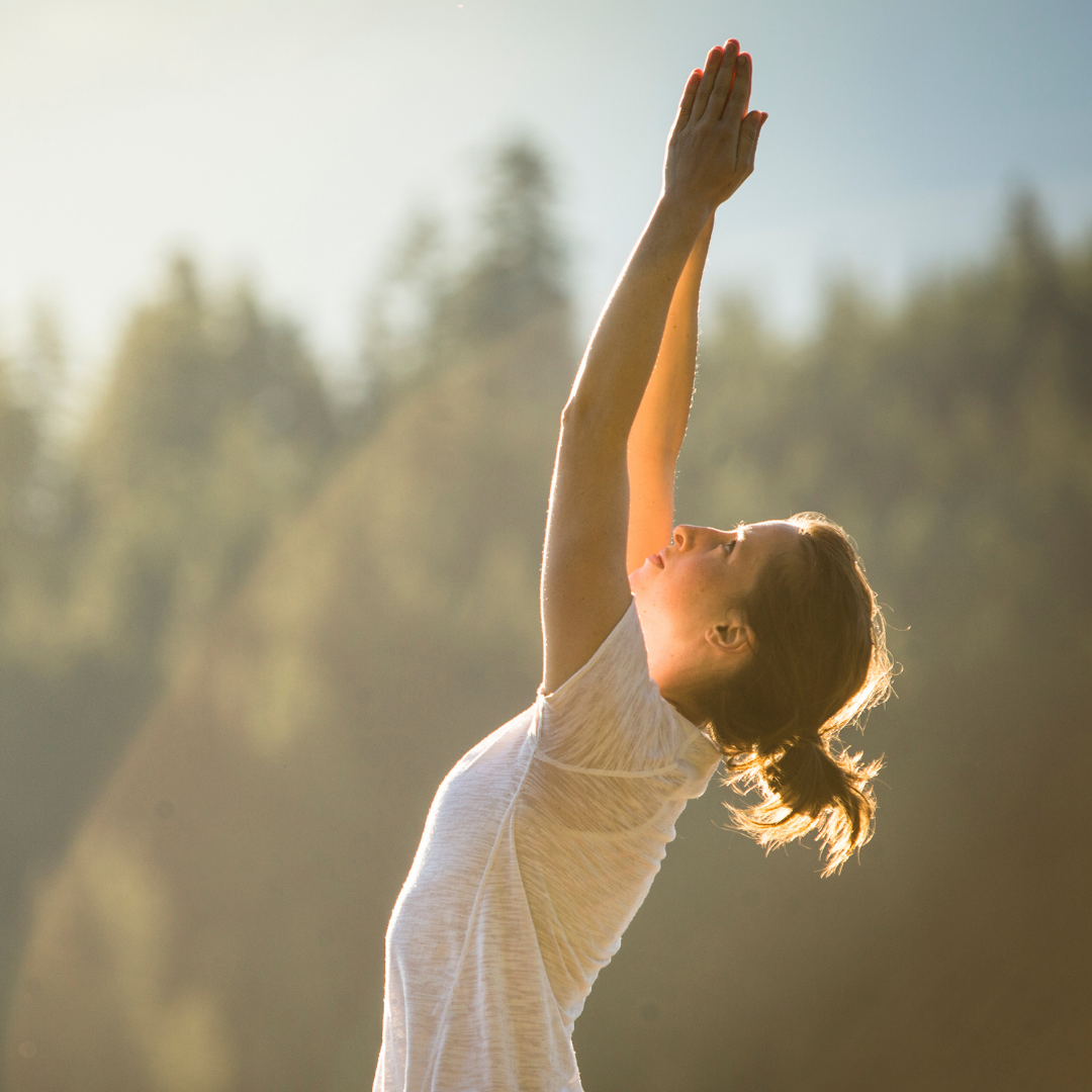 Retreat Day Pass, Fall 2026