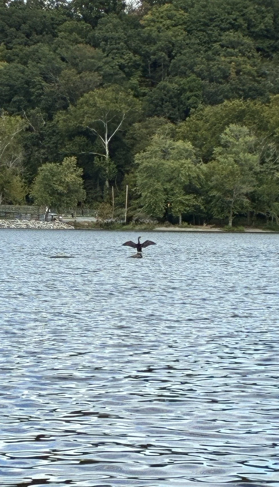 image1.jpeg