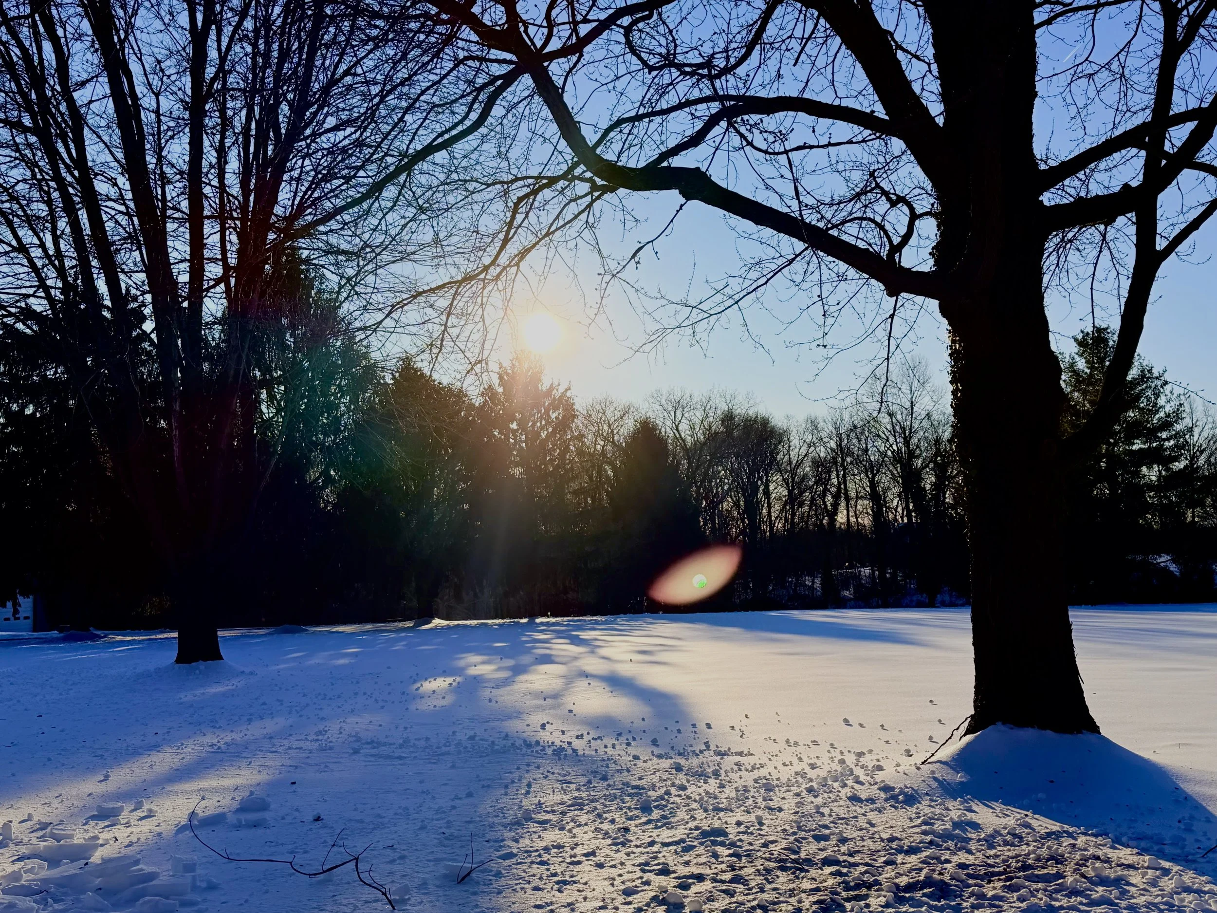 FullSizeRender (3).jpeg