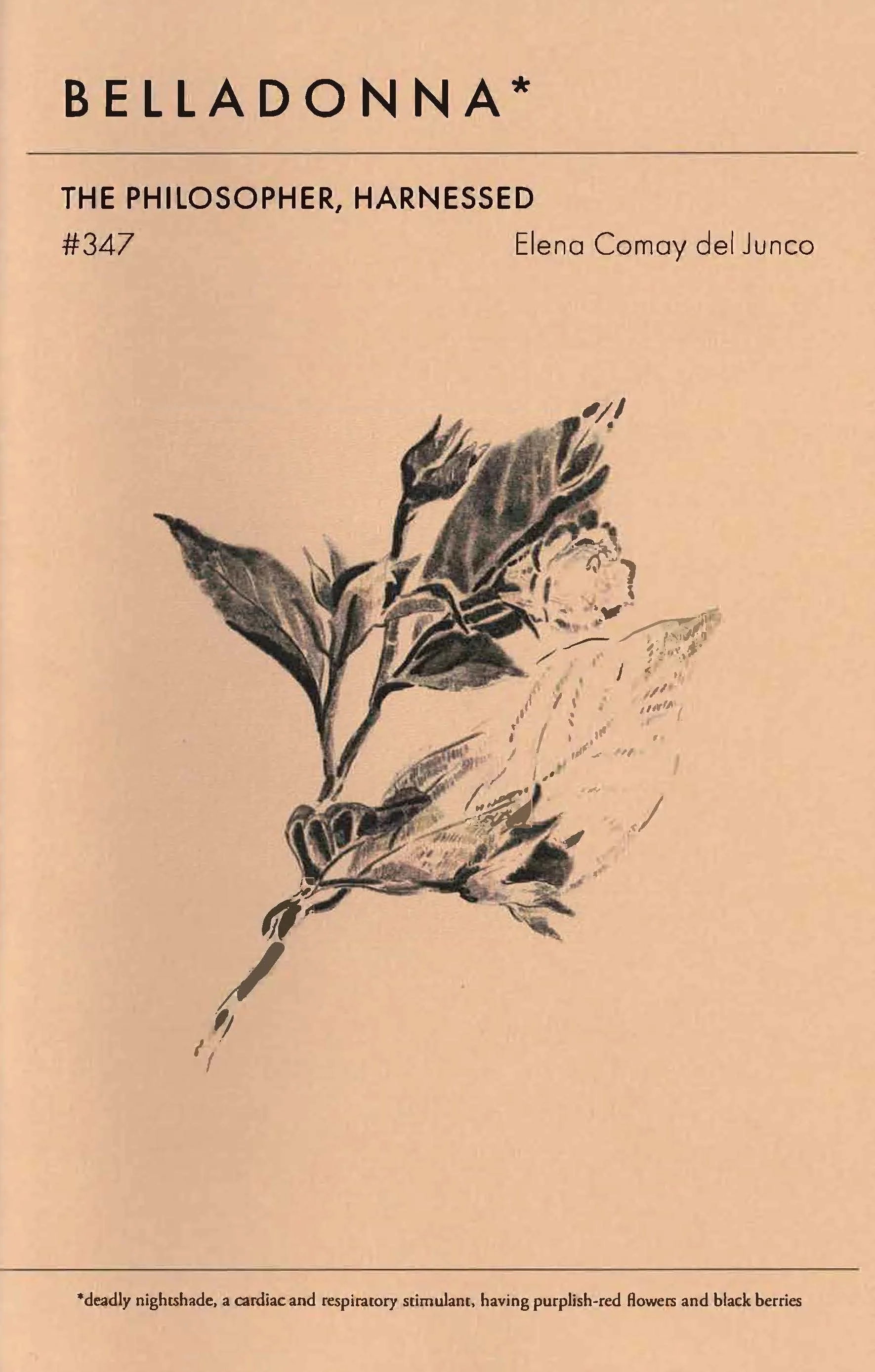 347 Cover.jpg