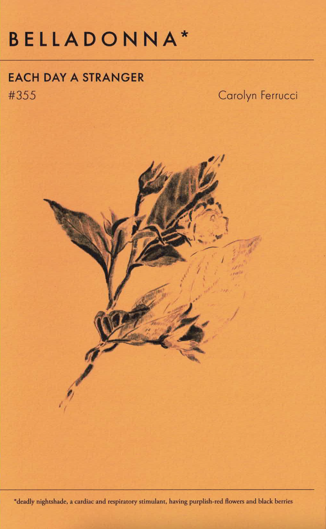355. Carolyn Ferrucci: EACH DAY A STRANGER
