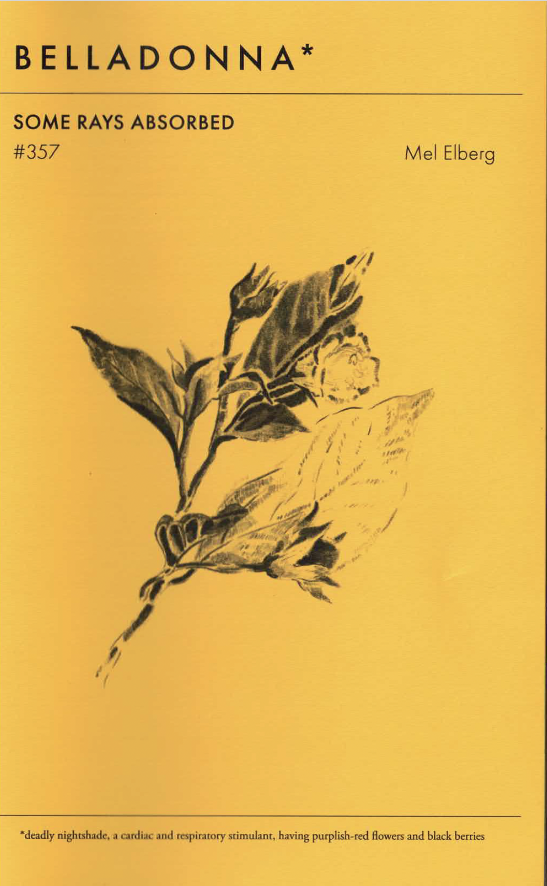 357. Mel Elberg: SOME RAYS ABSORBED
