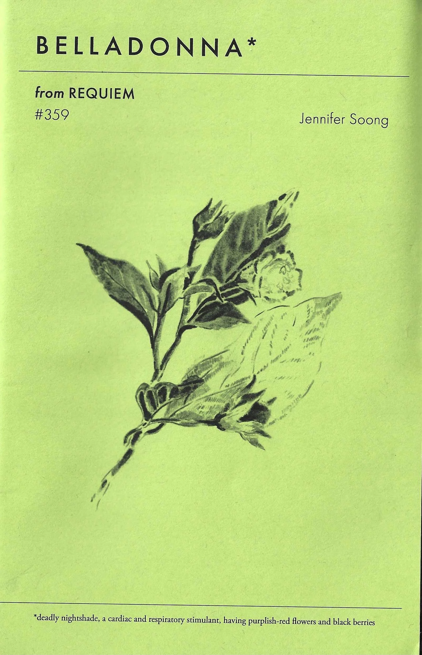 359cover 1.jpeg
