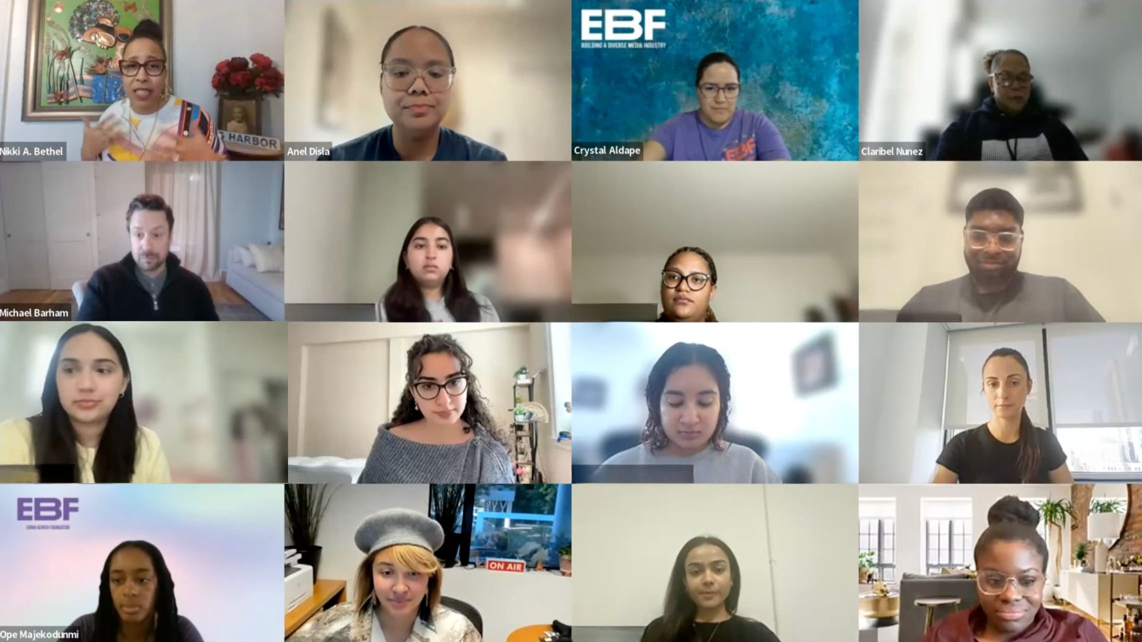 panelists, panel participants, ebf fellows, students, fellows, nonprofit event, virtual event, boot camp, professional development