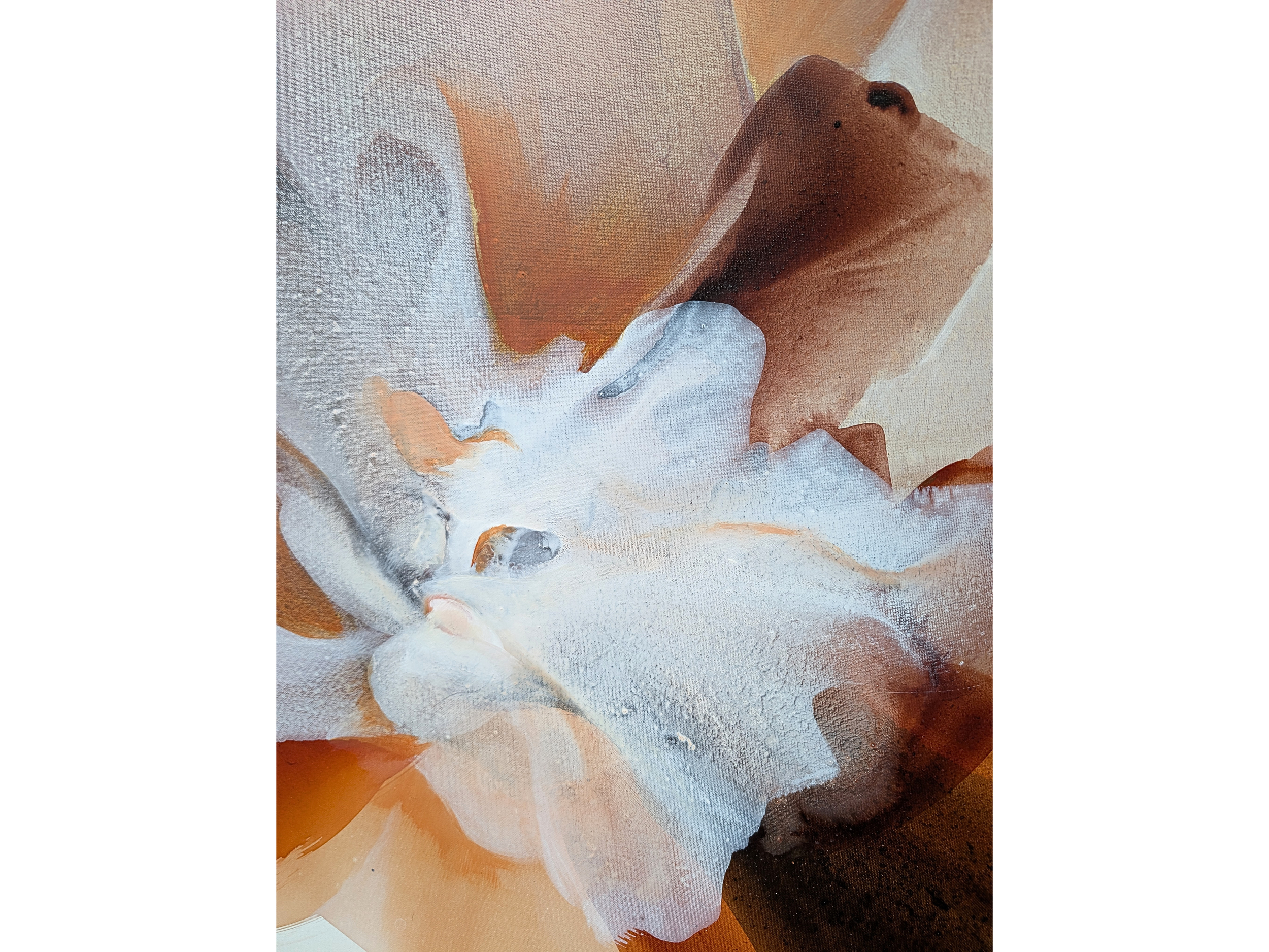Untitled design (81).png