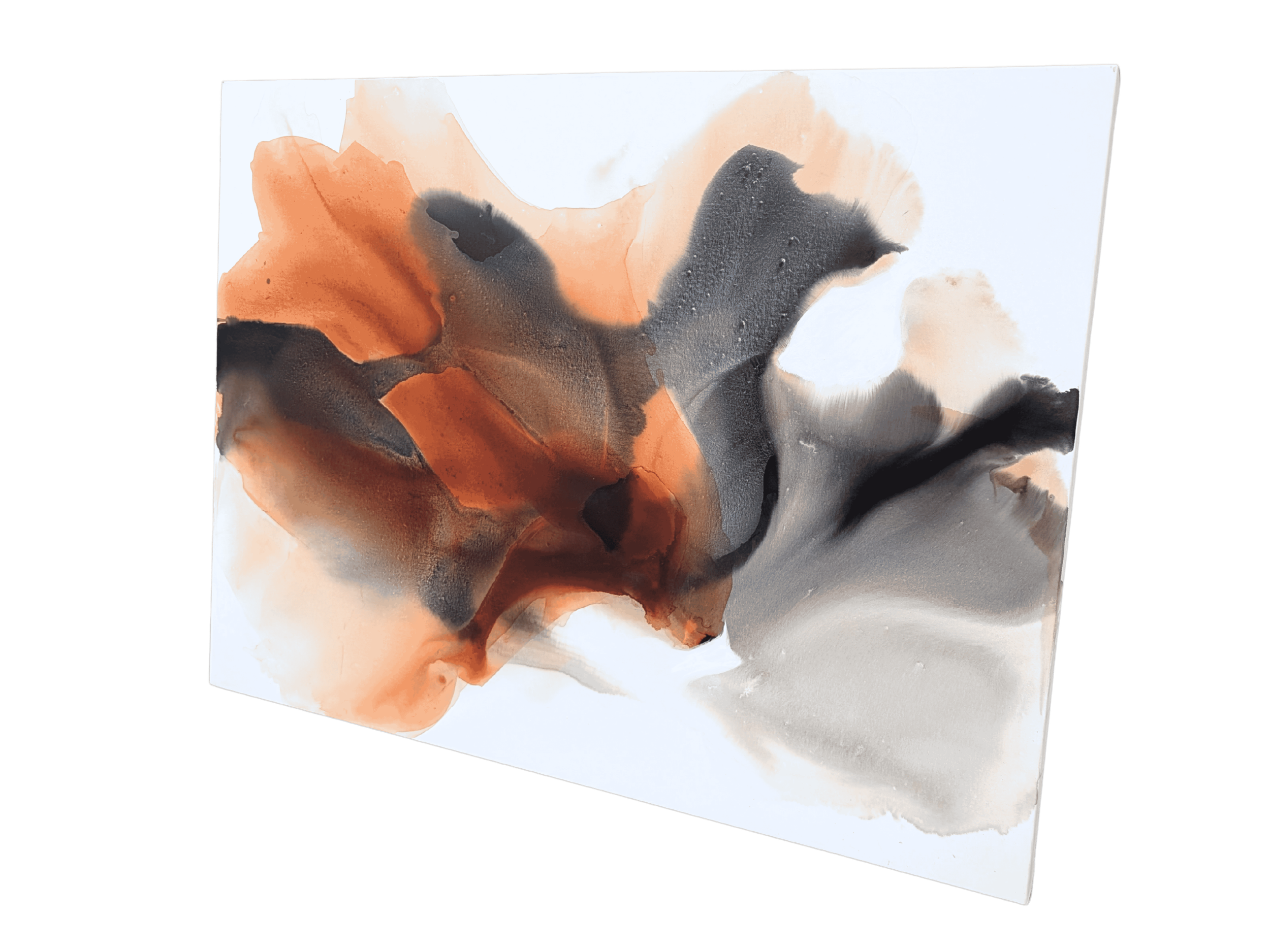 Untitled design (29).png