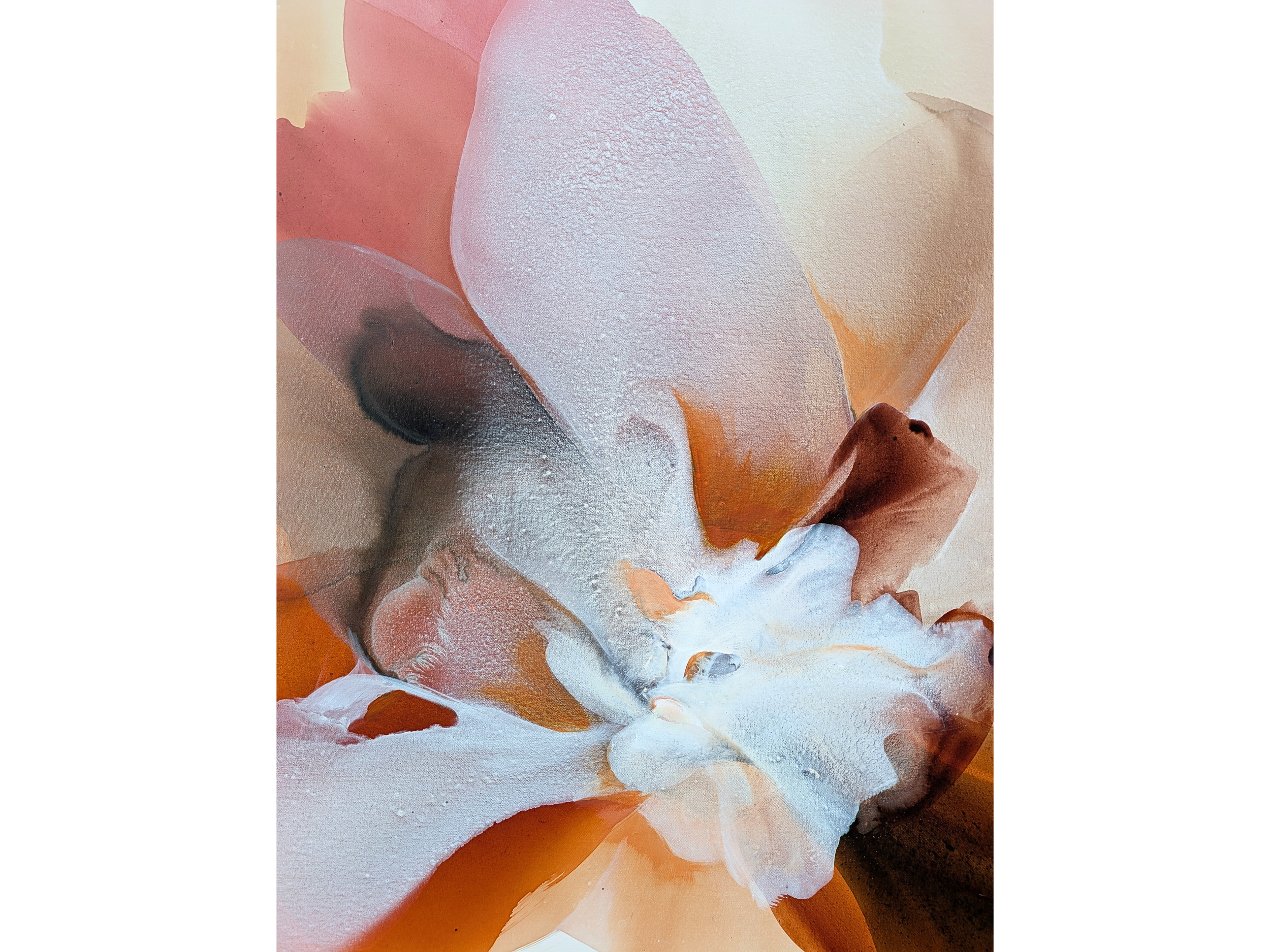 Untitled design (80).png