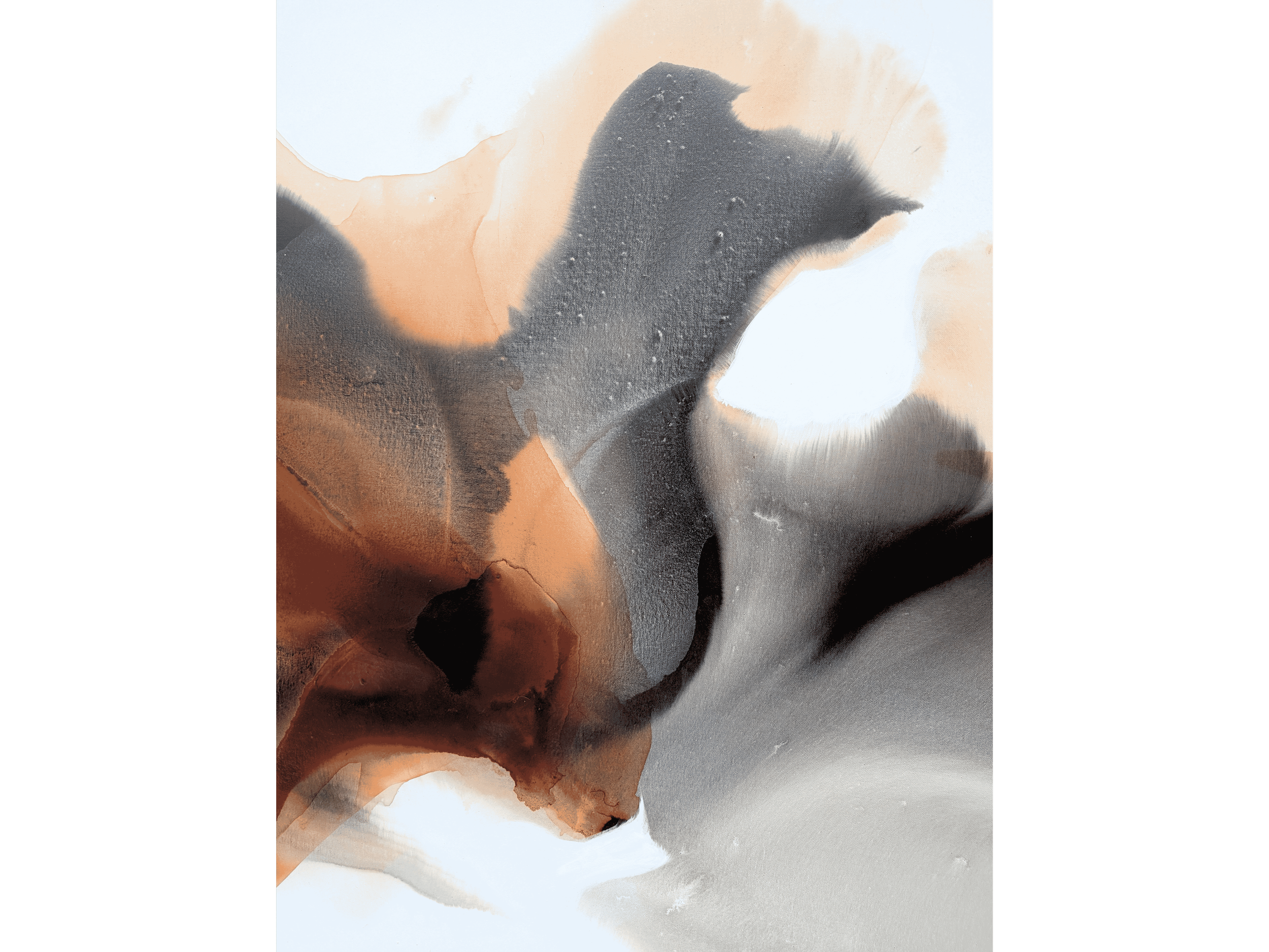 Untitled design (30).png