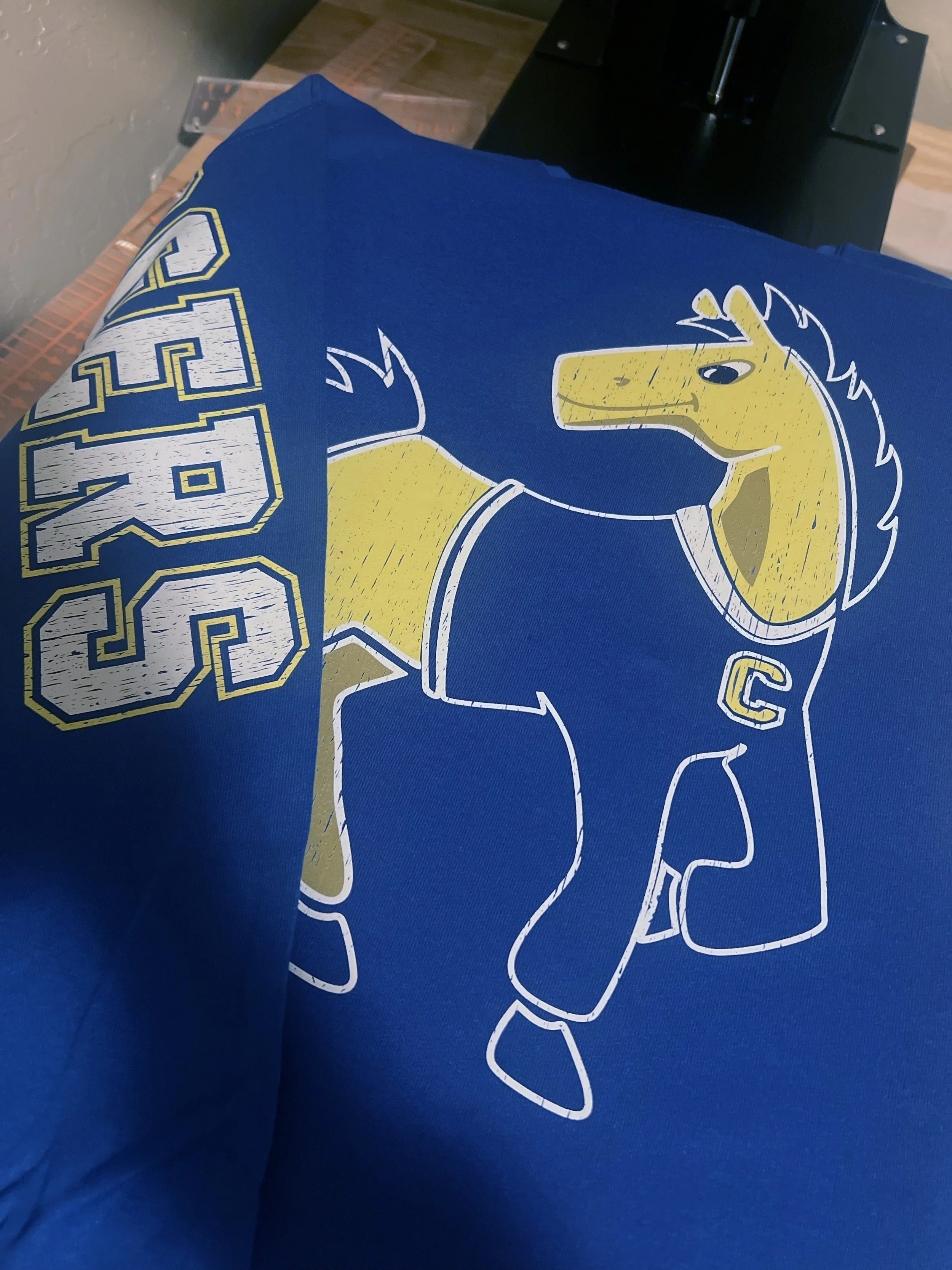 25F9037E-67C8-4202-9D4C-08B04D52B8A5 copy.jpg