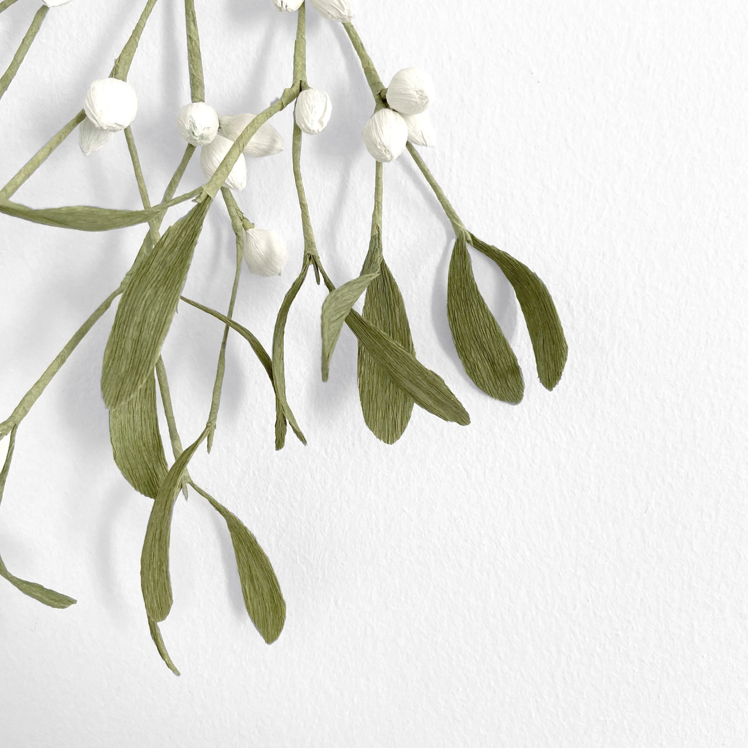 mistletoe main2.jpg