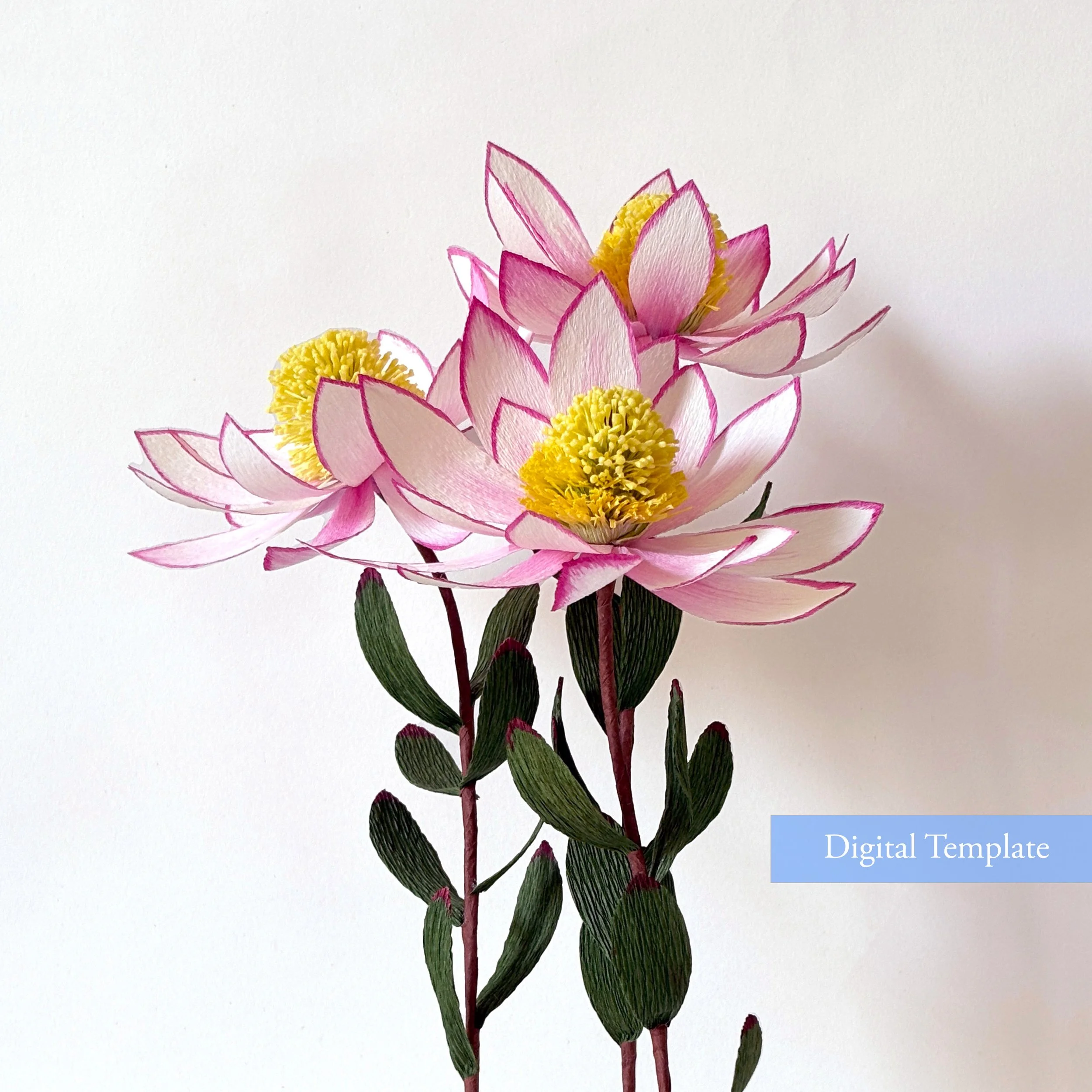 Crepe Paper Leucadendron "African Spice" Digital Template