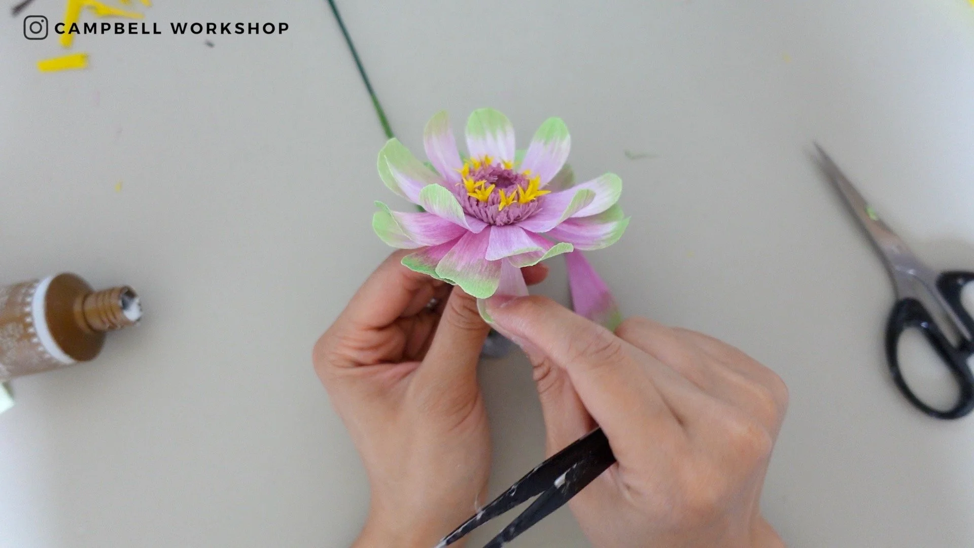 Zinnia 7.jpg