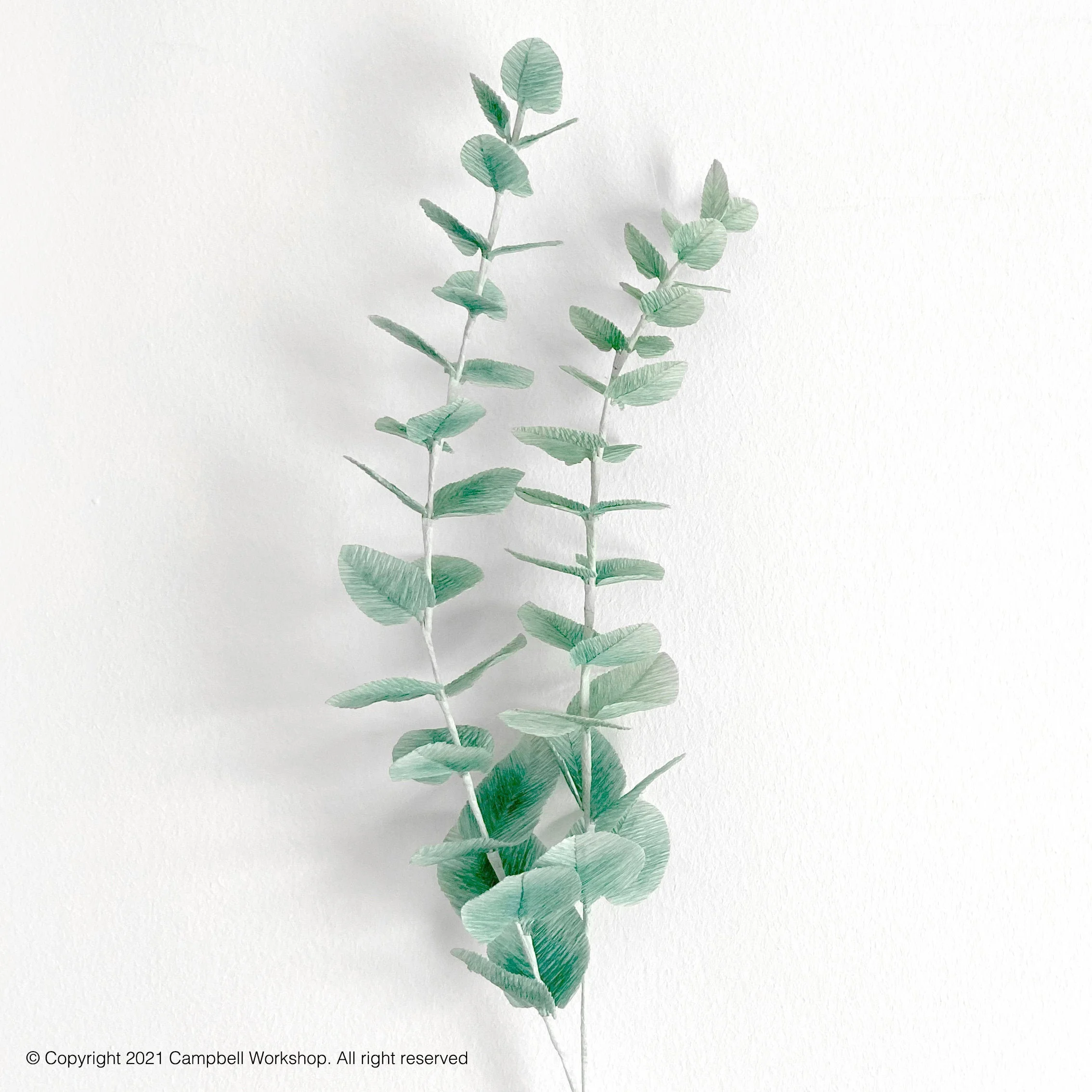 Crepe Paper Eucalyptus Gunnii