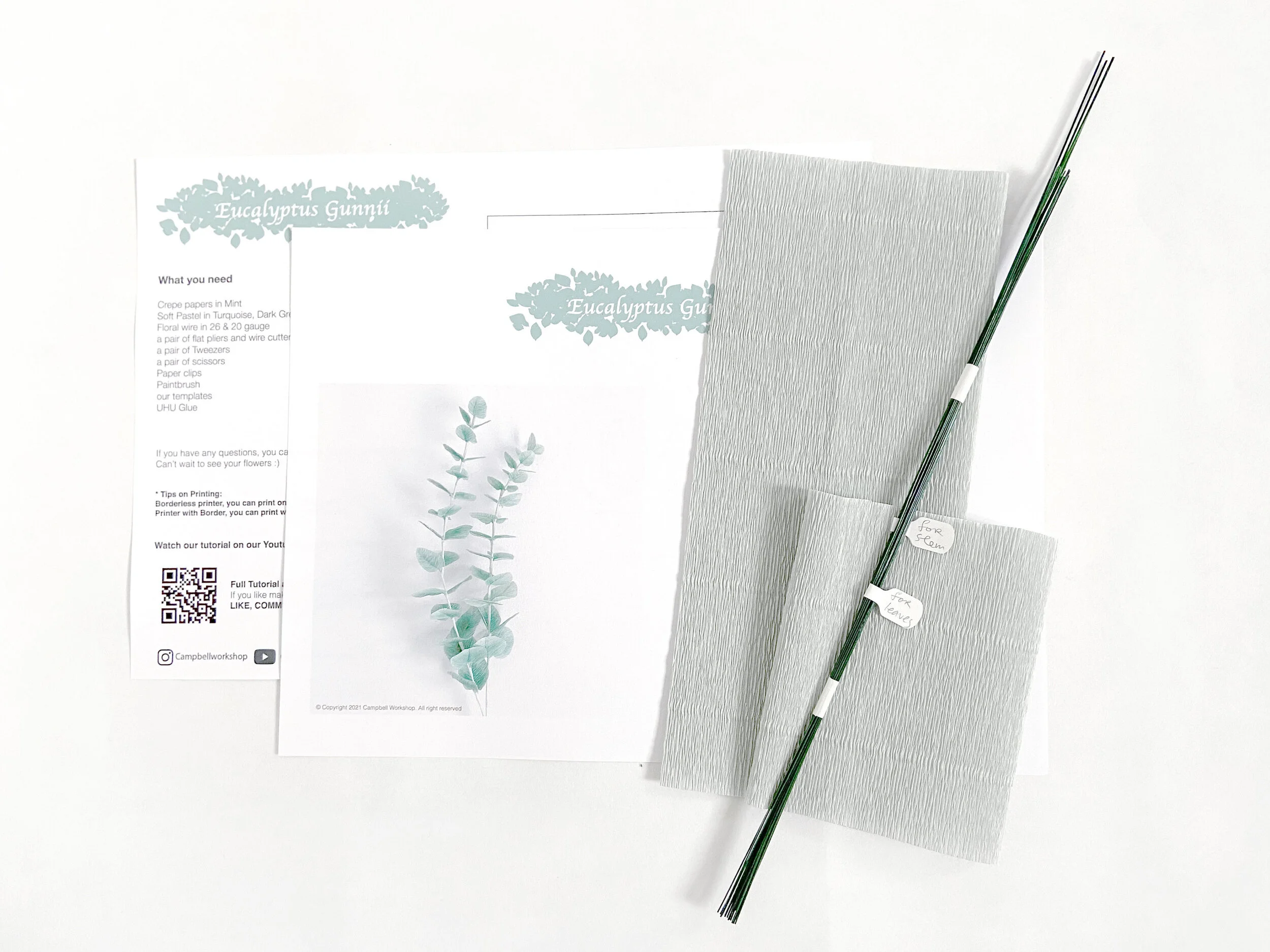Crepe Paper Eucalyptus Gunnii DIY Kit
