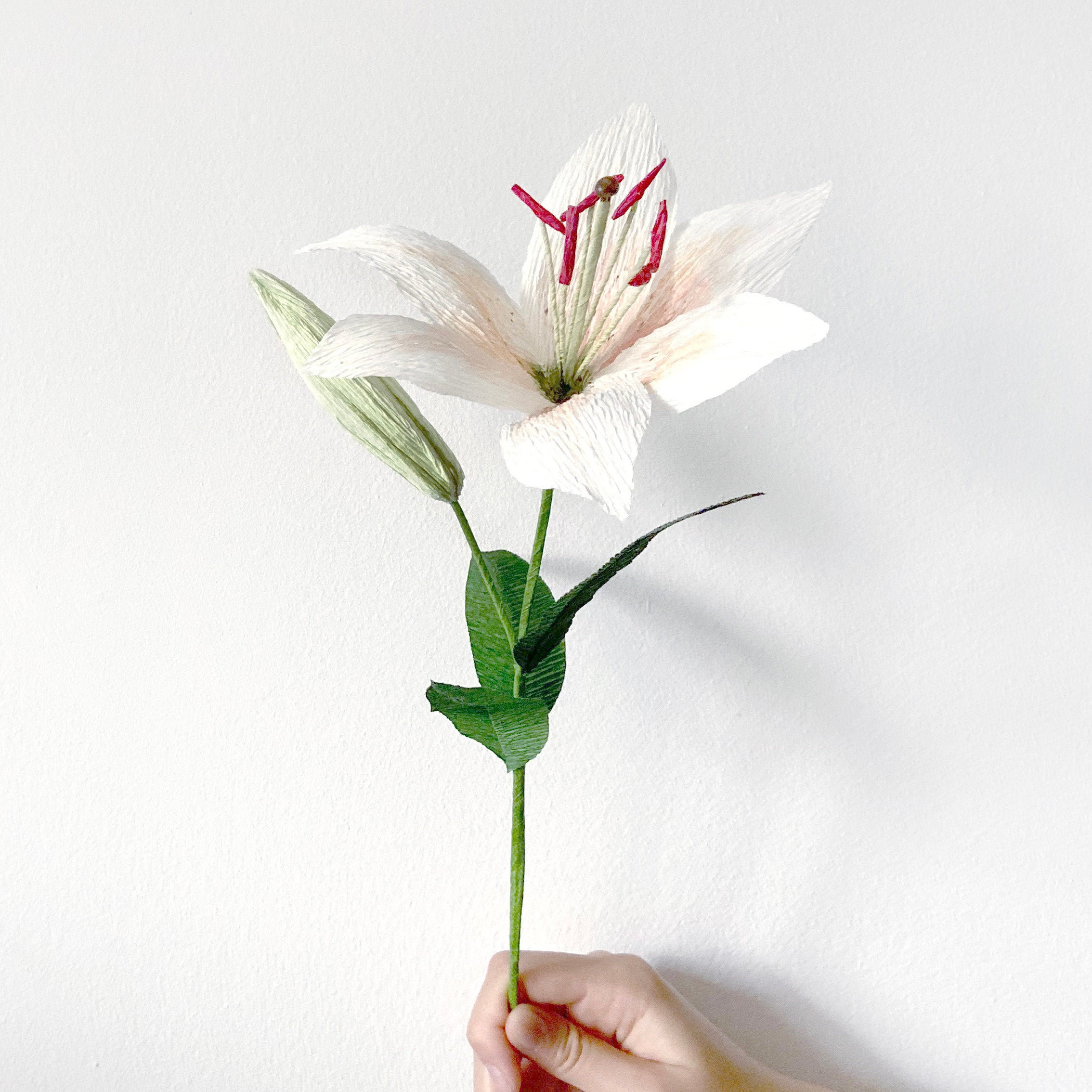 Crepe paper Oriental Lily