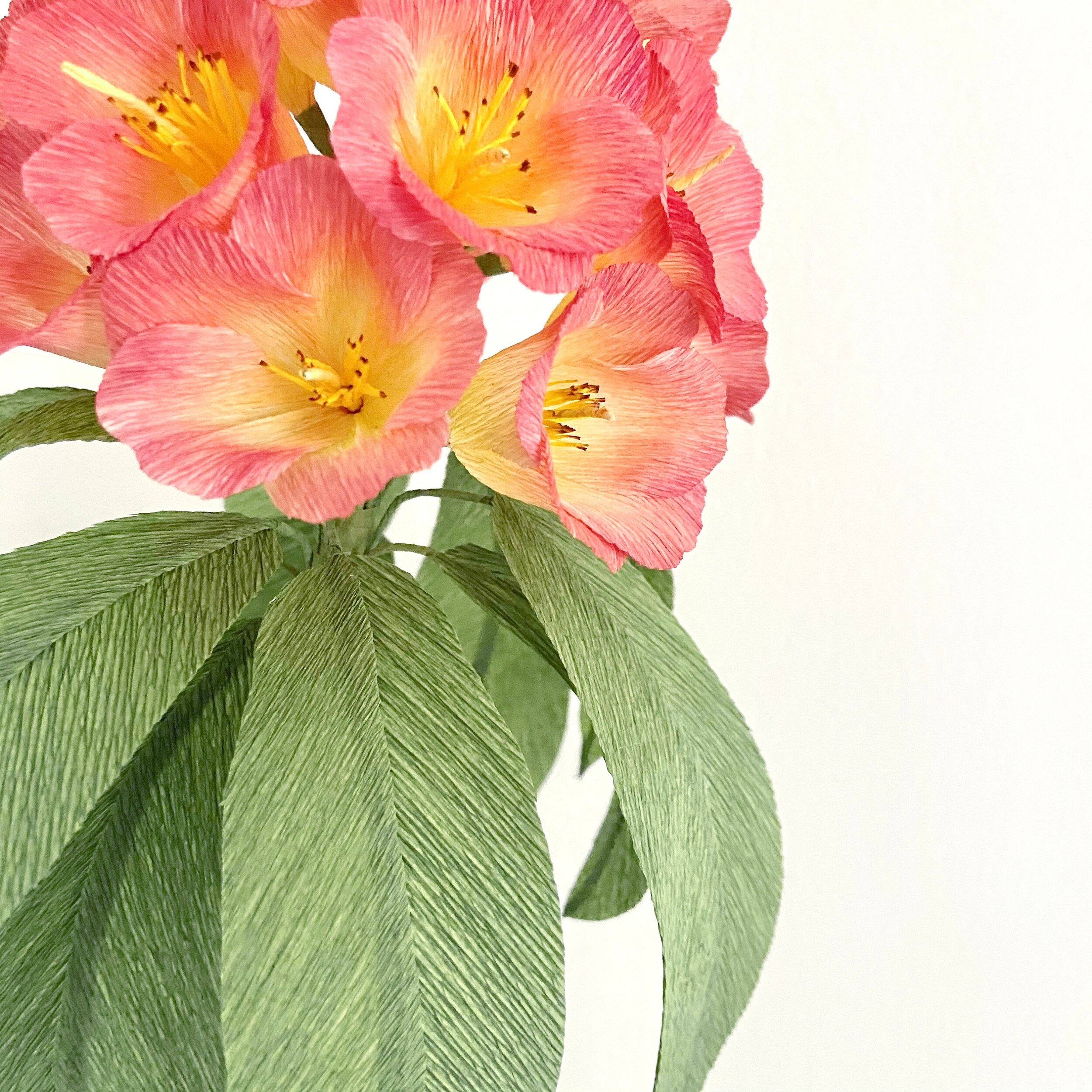 Crepe Paper Rhododendron Flower