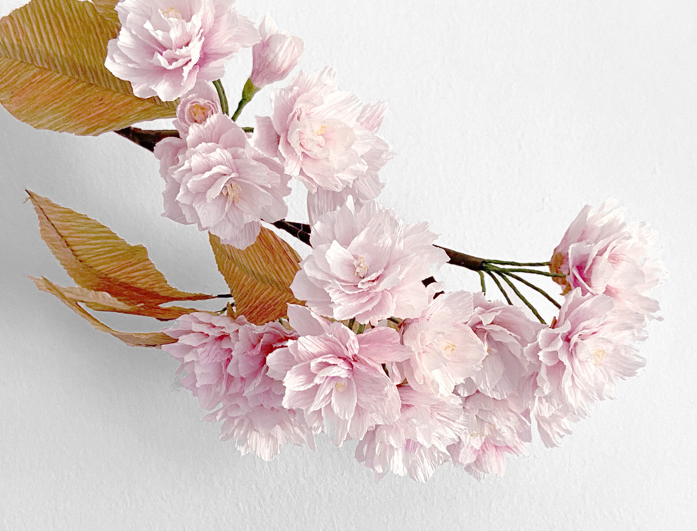 CREPE KANZAN CHERRY BLOSSOM