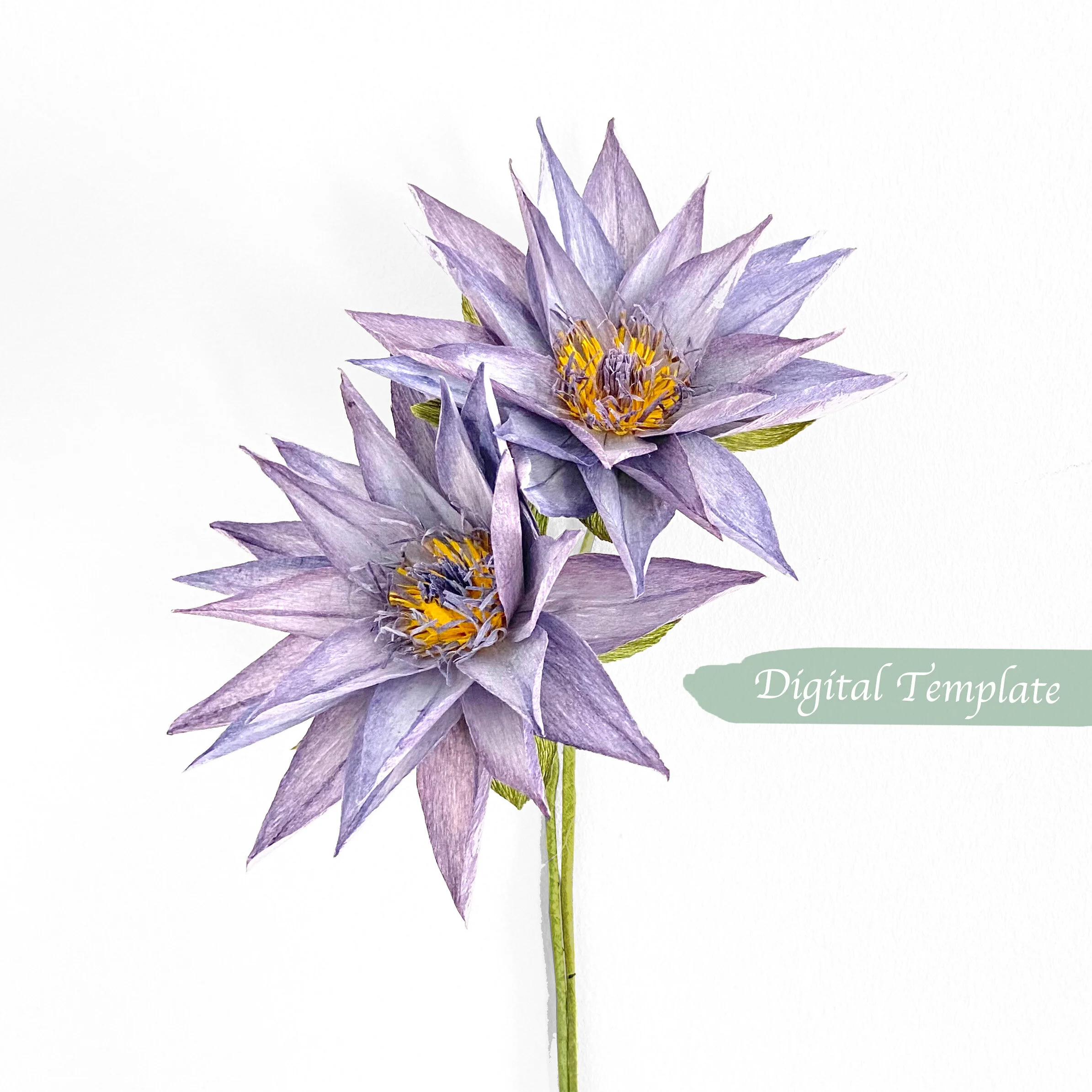 Crepe paper Egyptian Water Lily Digital Template