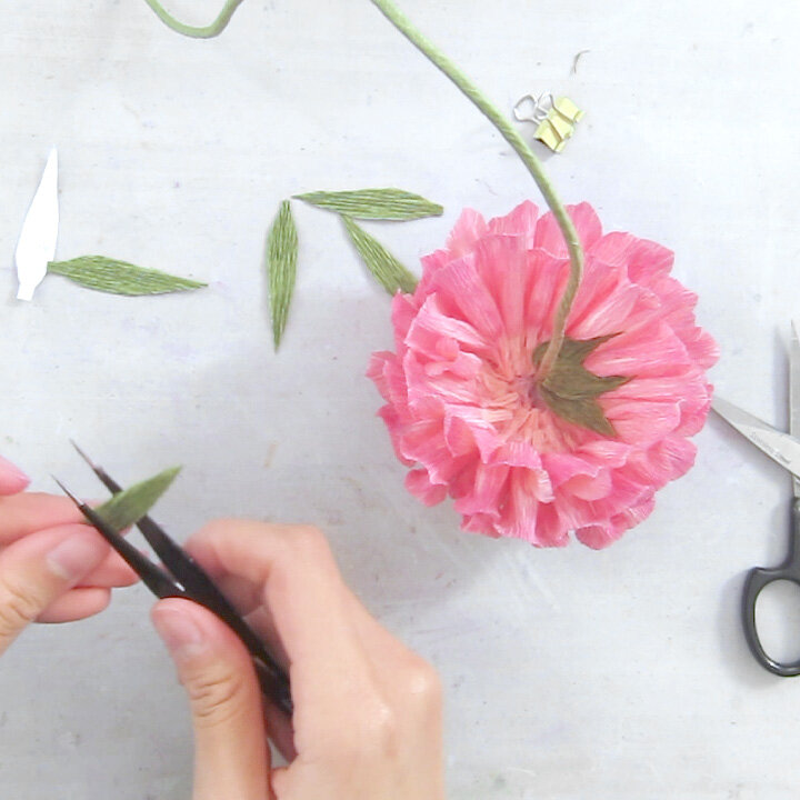 Crepe paper flower tutorial
