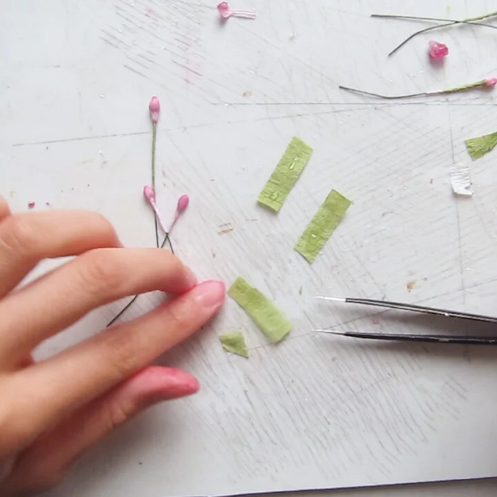 Crepe paper Waxflower Template
