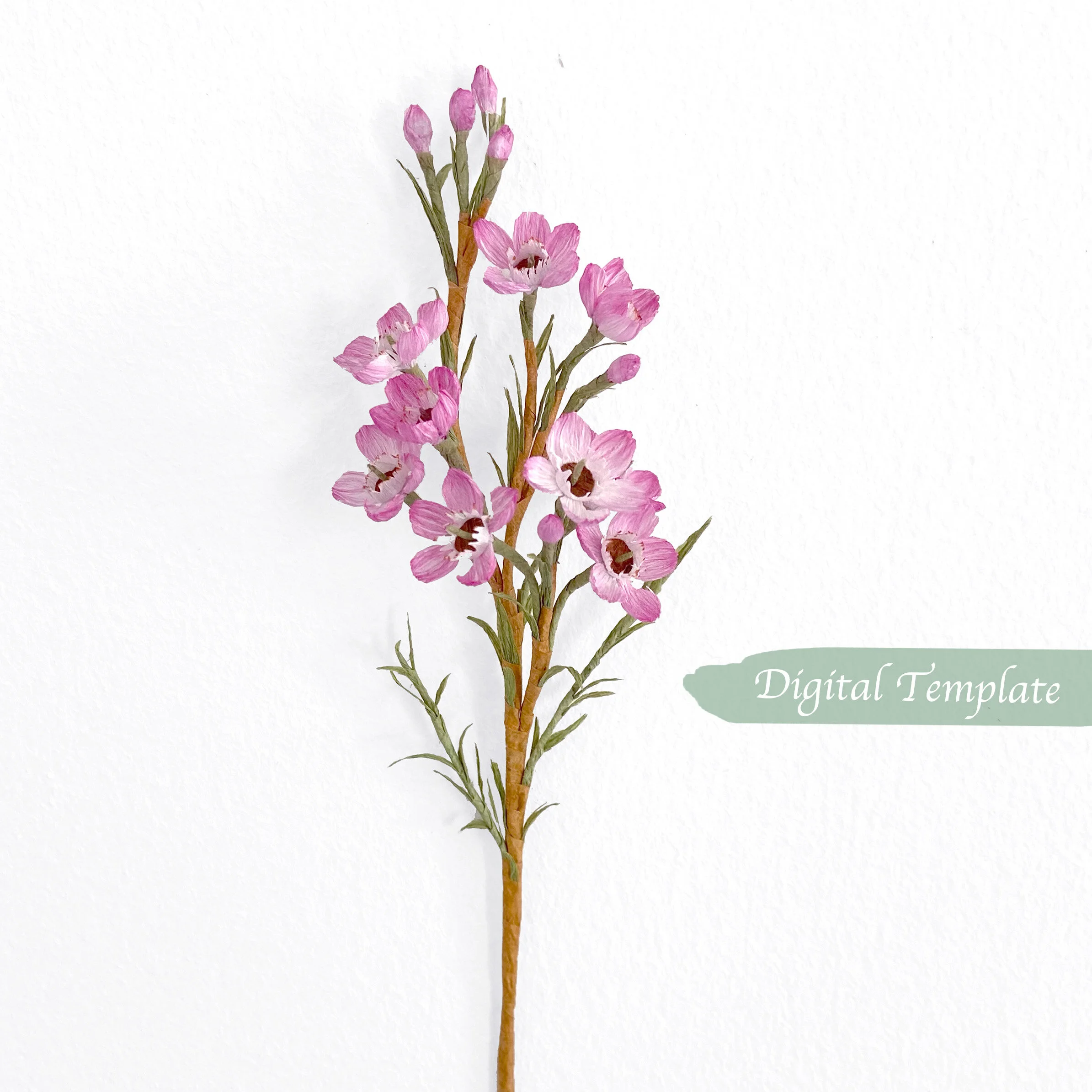 Crepe paper Waxflower Template